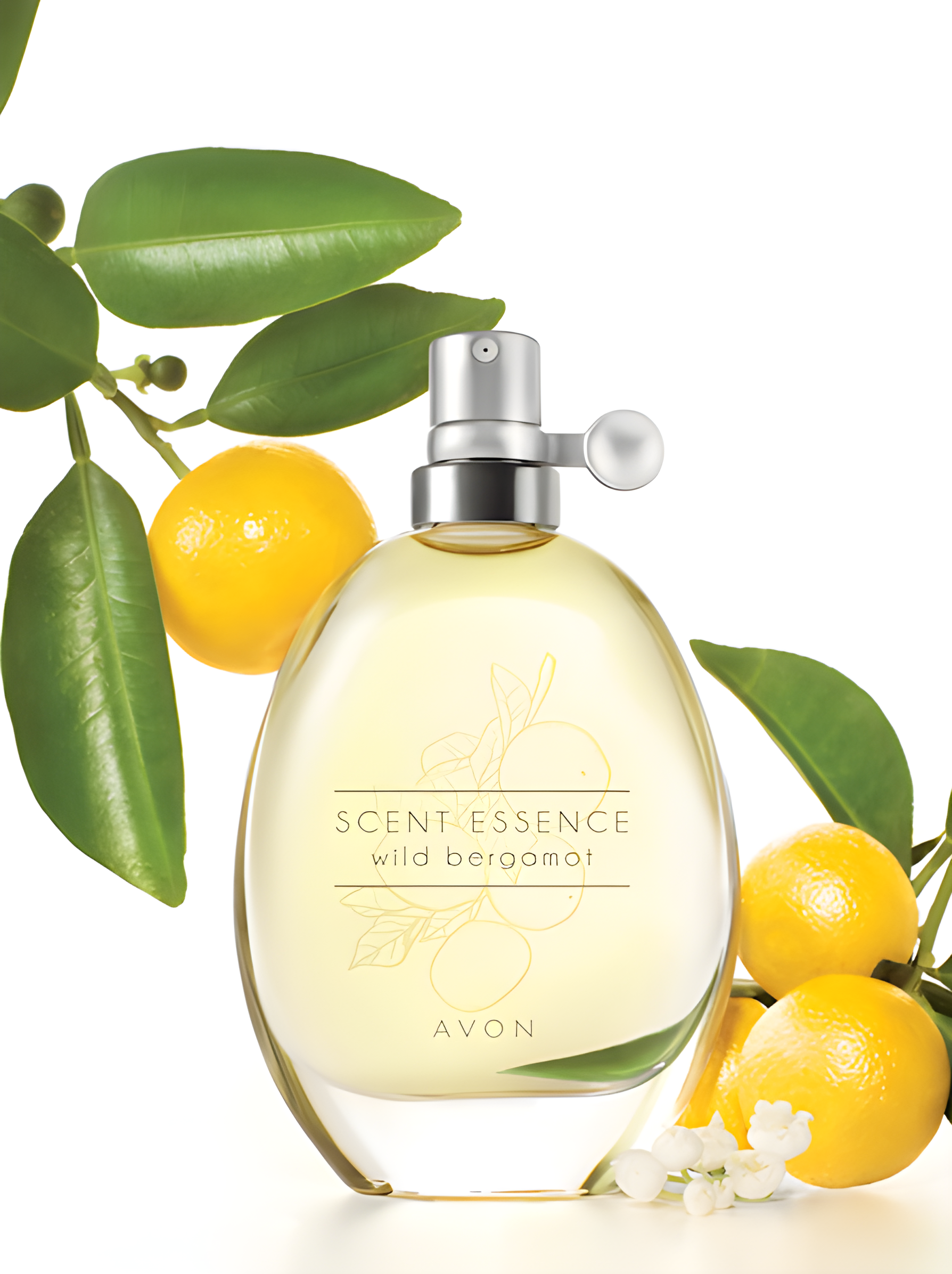Scent Essence - Wild Bergamot by Avon perfume bottle