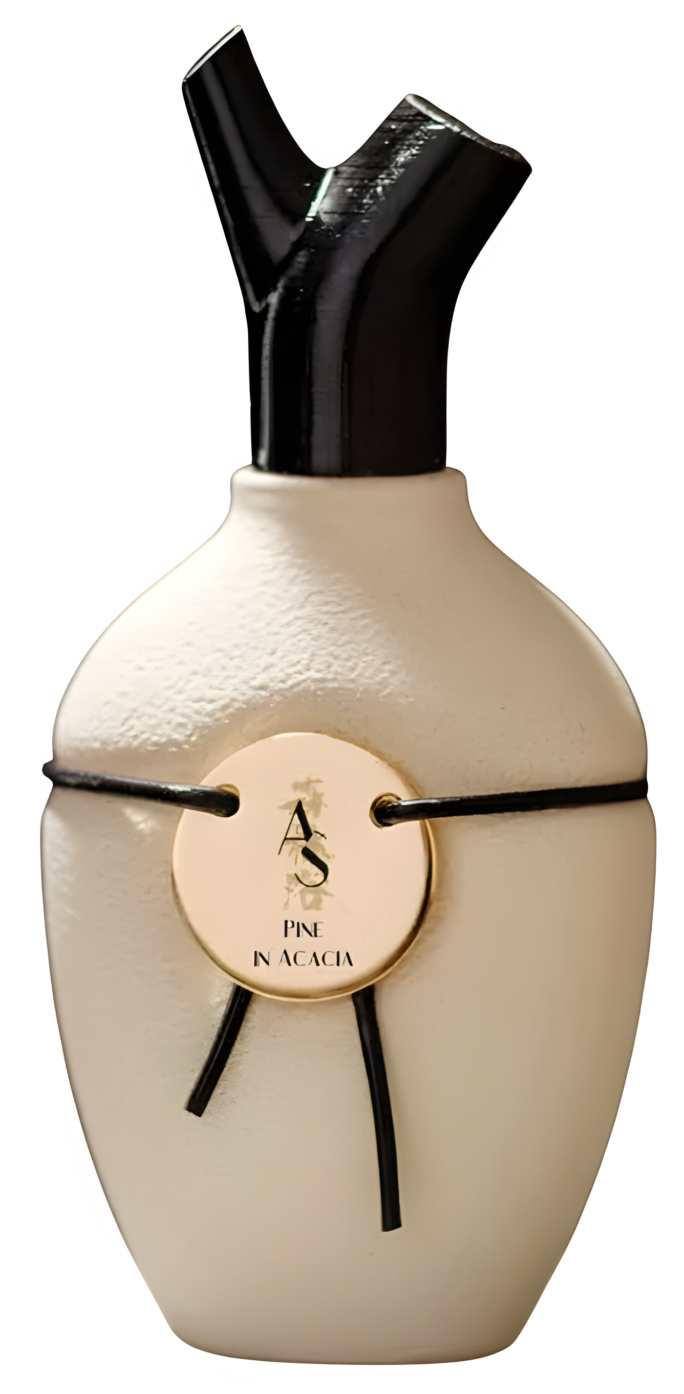Pine in Acacia by Scents of Wood perfume bottle