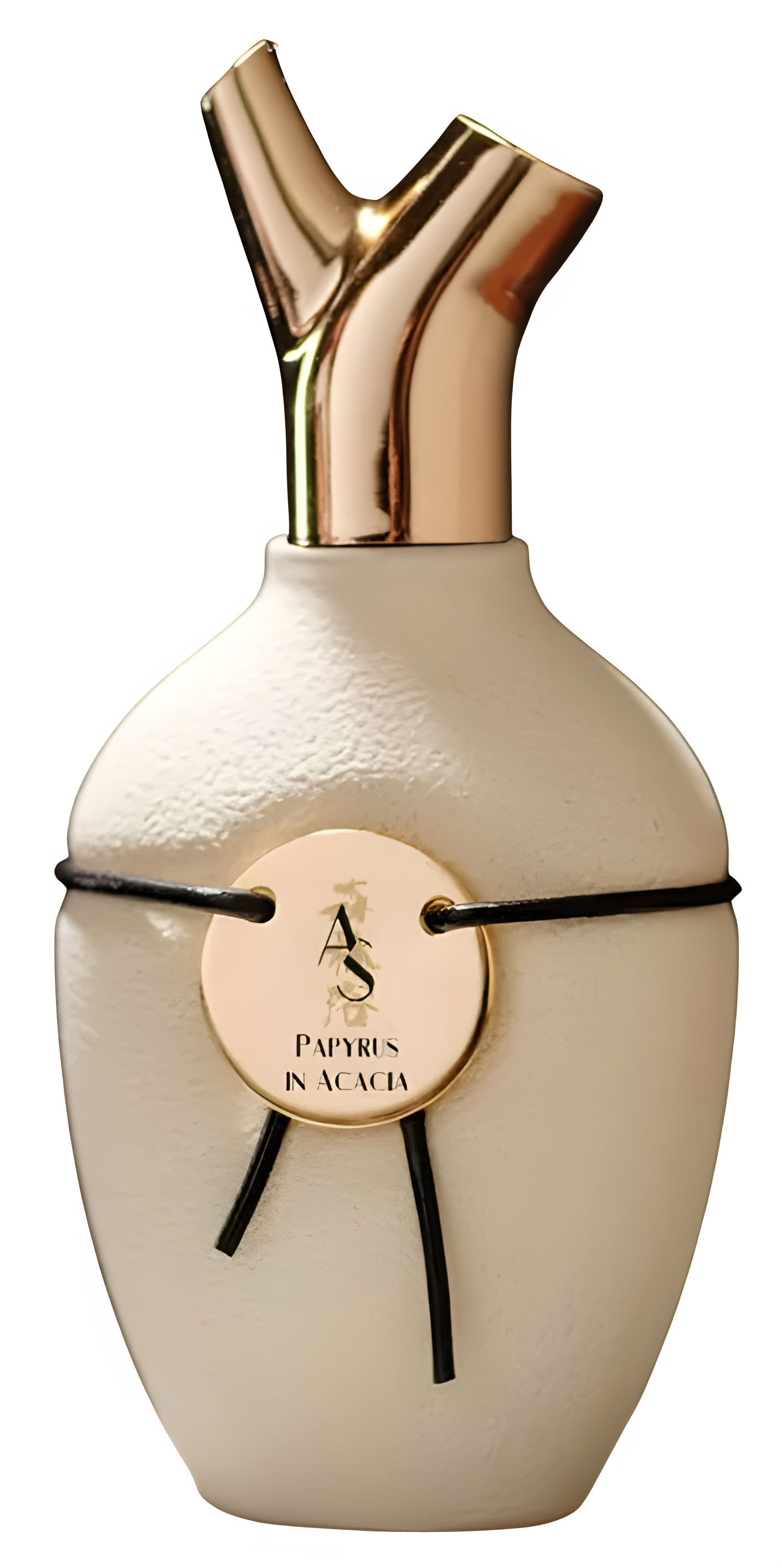 Papyrus in Acacia by Scents of Wood perfume bottle