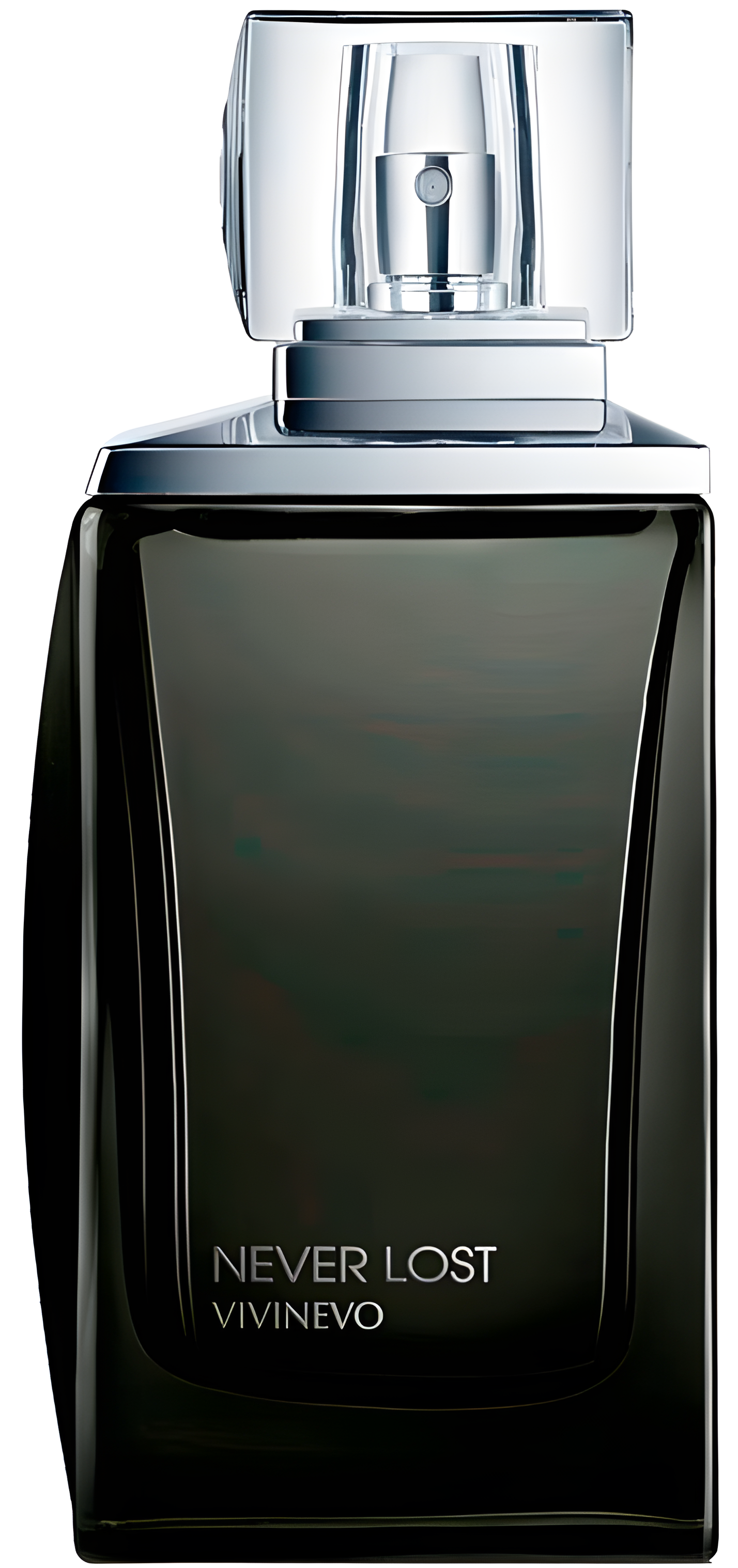 Never Lost Black by Vivinevo perfume bottle