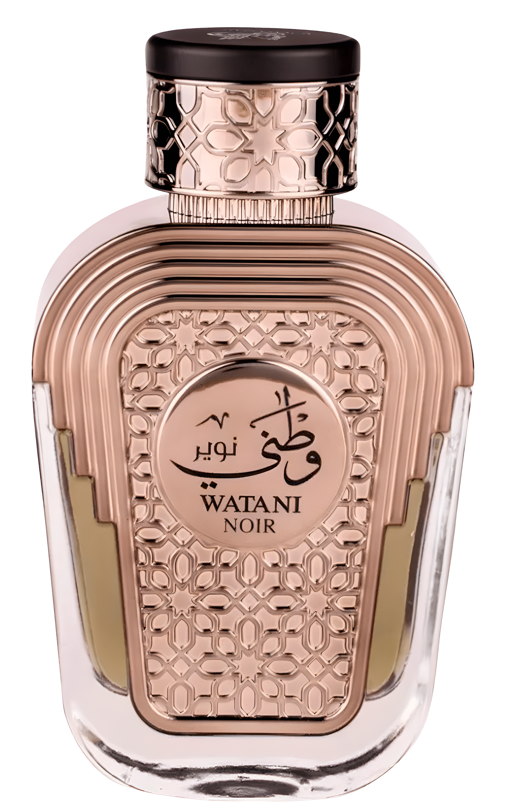 Watani Noir by Al Wataniah perfume bottle