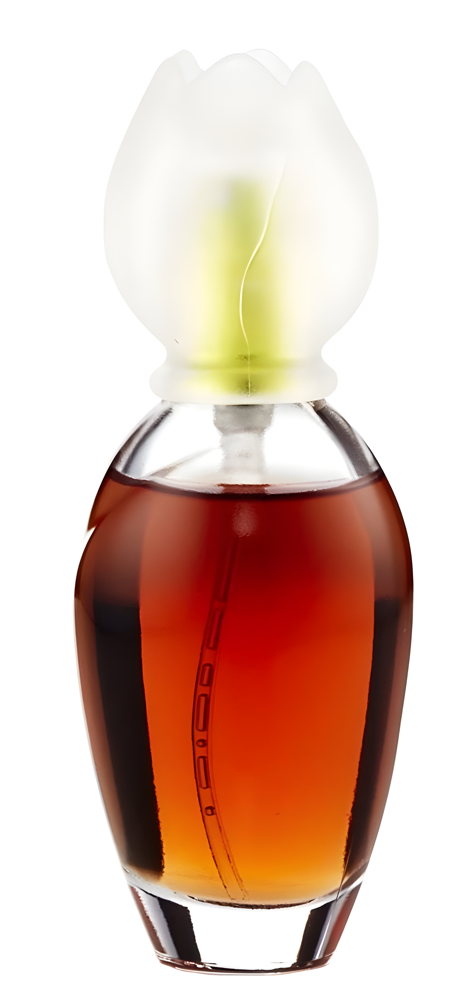 Chloé Narcisse by Chloé perfume bottle