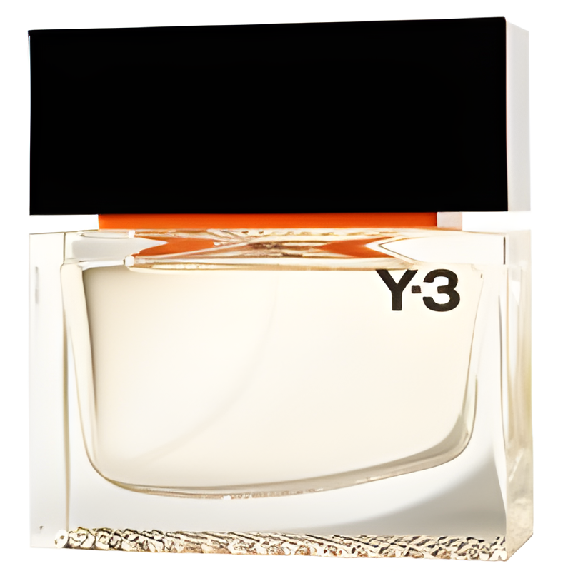 Y-3 Black Label by Yohji Yamamoto perfume bottle