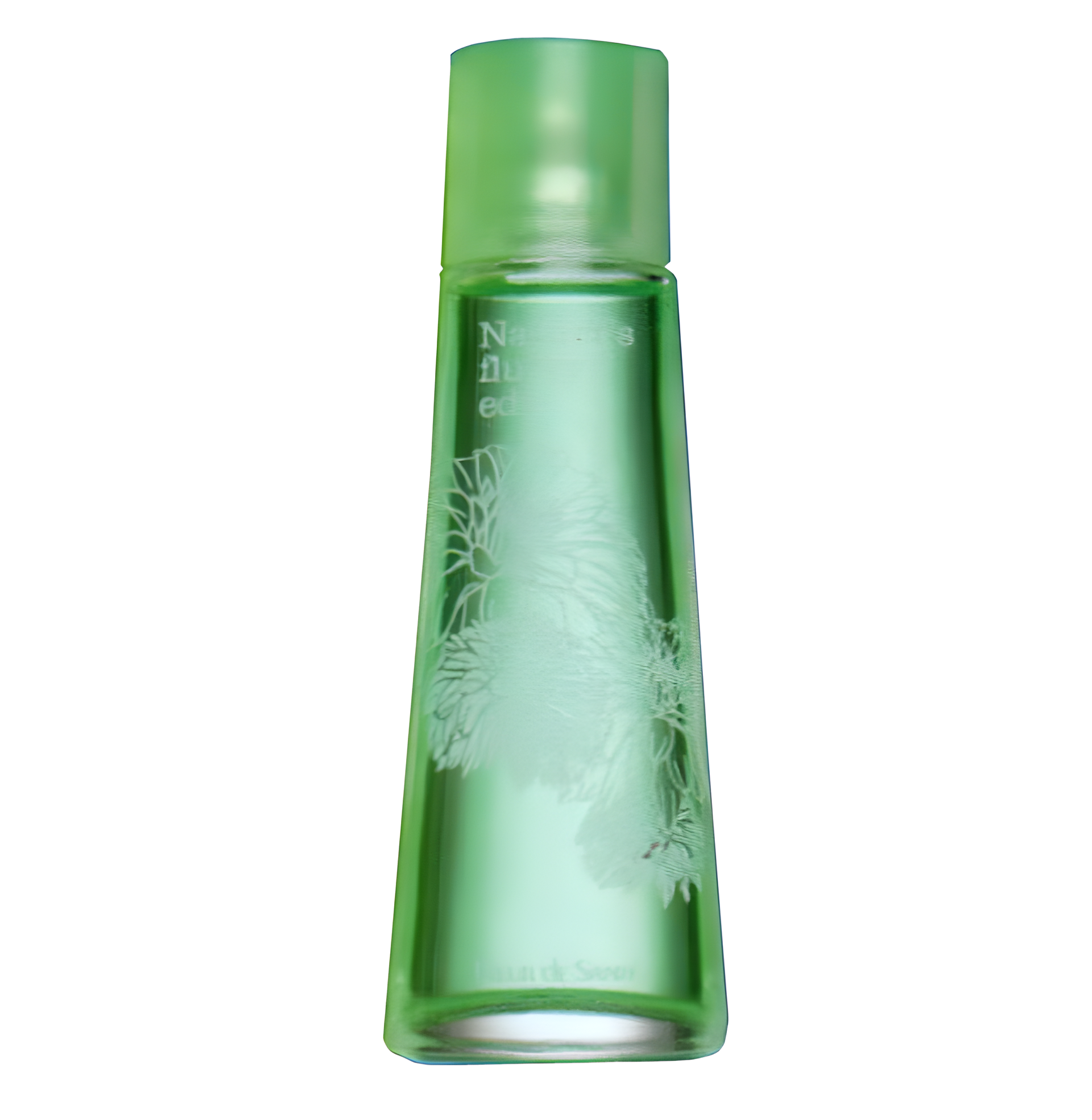 Natures Spring Flurry by Fleur de Sante perfume bottle