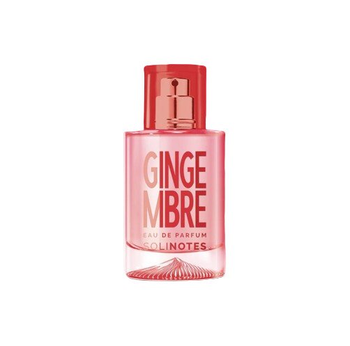 Gingembre by Solinotes perfume bottle