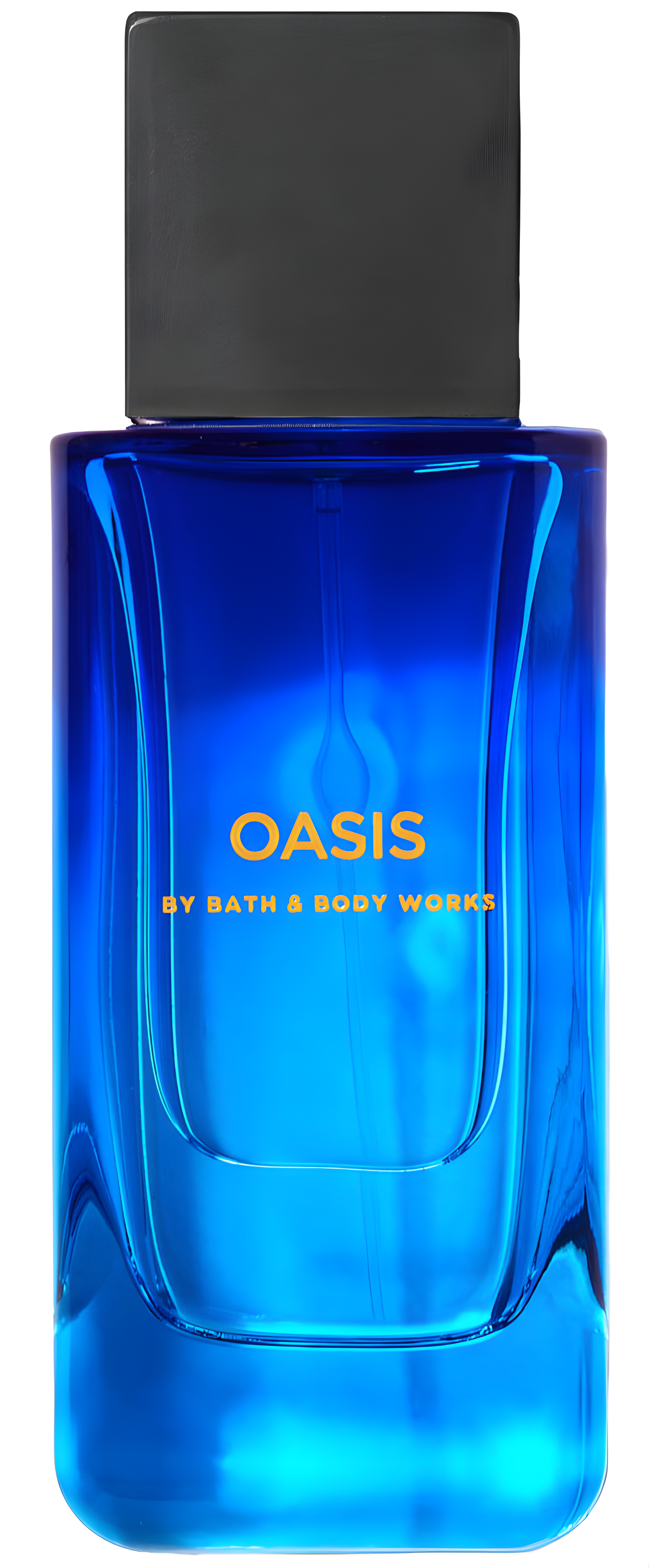 Oasis by Bath & Body Works perfume bottle