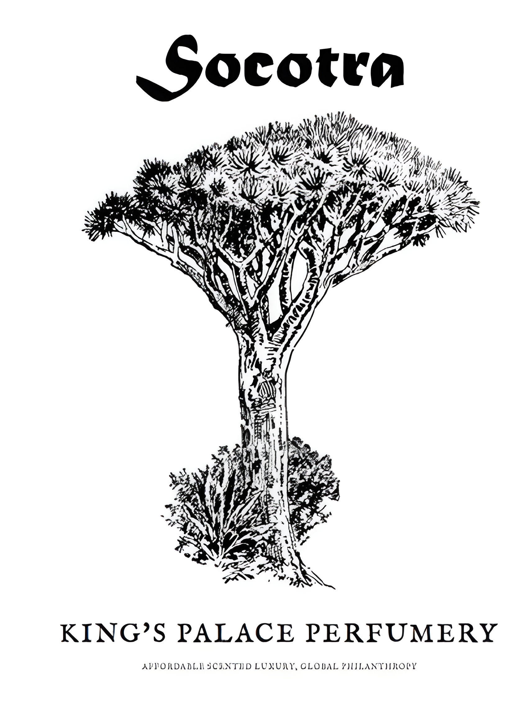 Socotra by King's Palace Perfumery perfume bottle