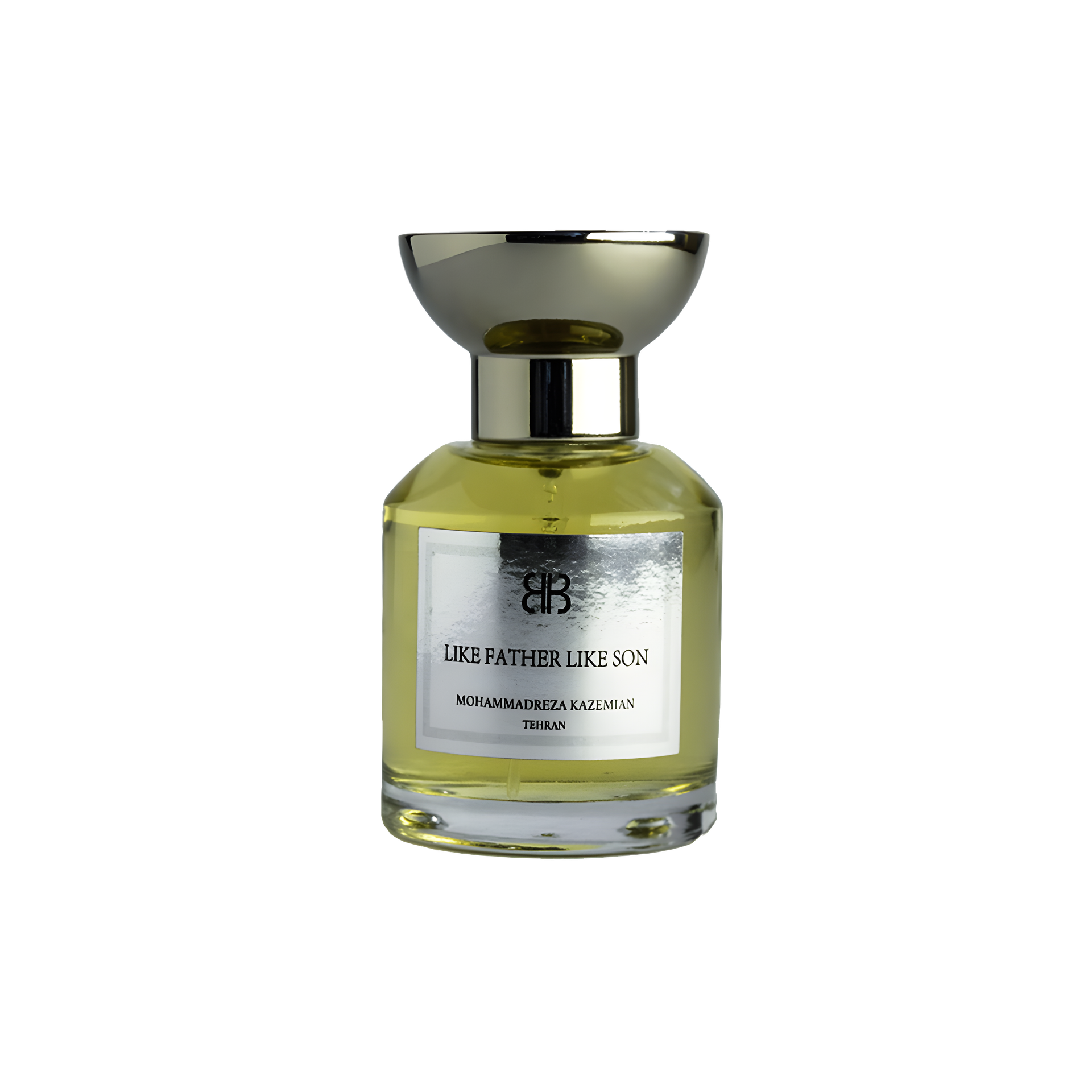 Like Father Like Son by Mohammadreza Kazemian perfume bottle