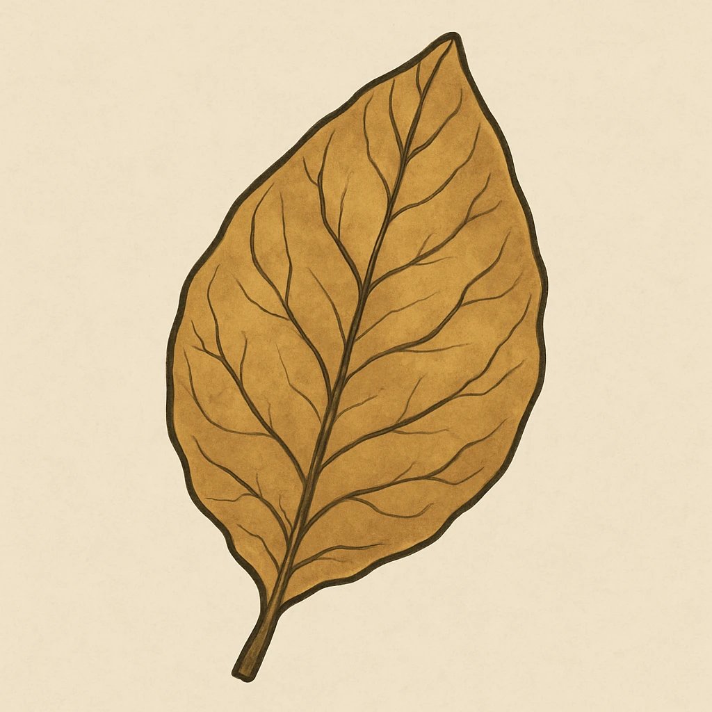 Picture of Tobacco Leaf note