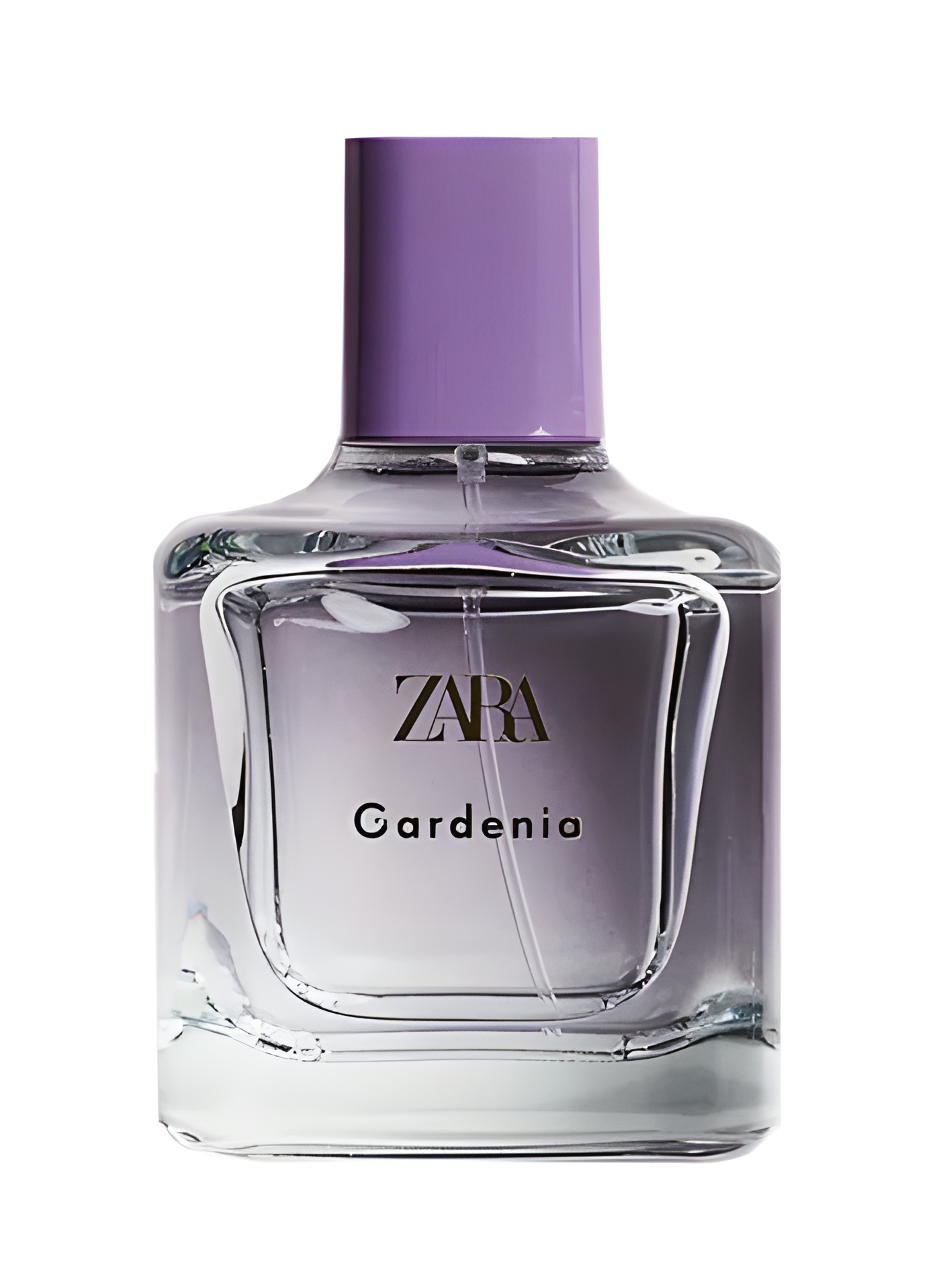 Gardenia by Zara perfume bottle