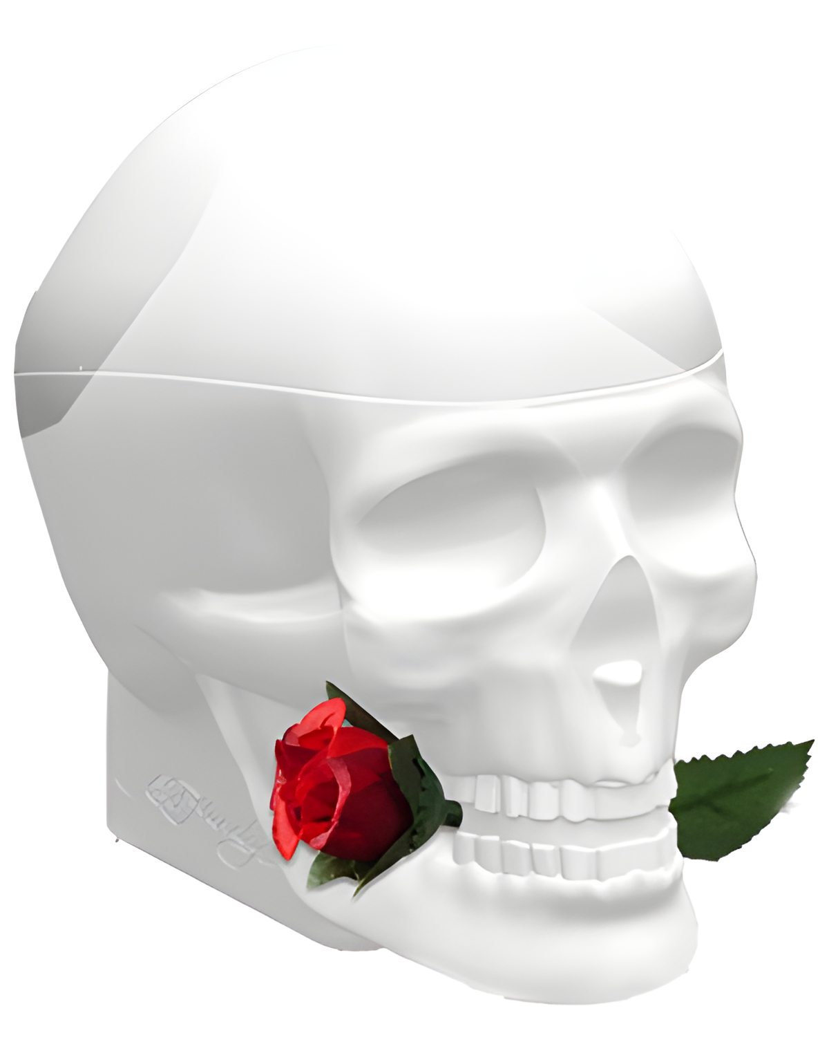 Ed Hardy Skulls & Roses for Her by Christian Audigier perfume bottle