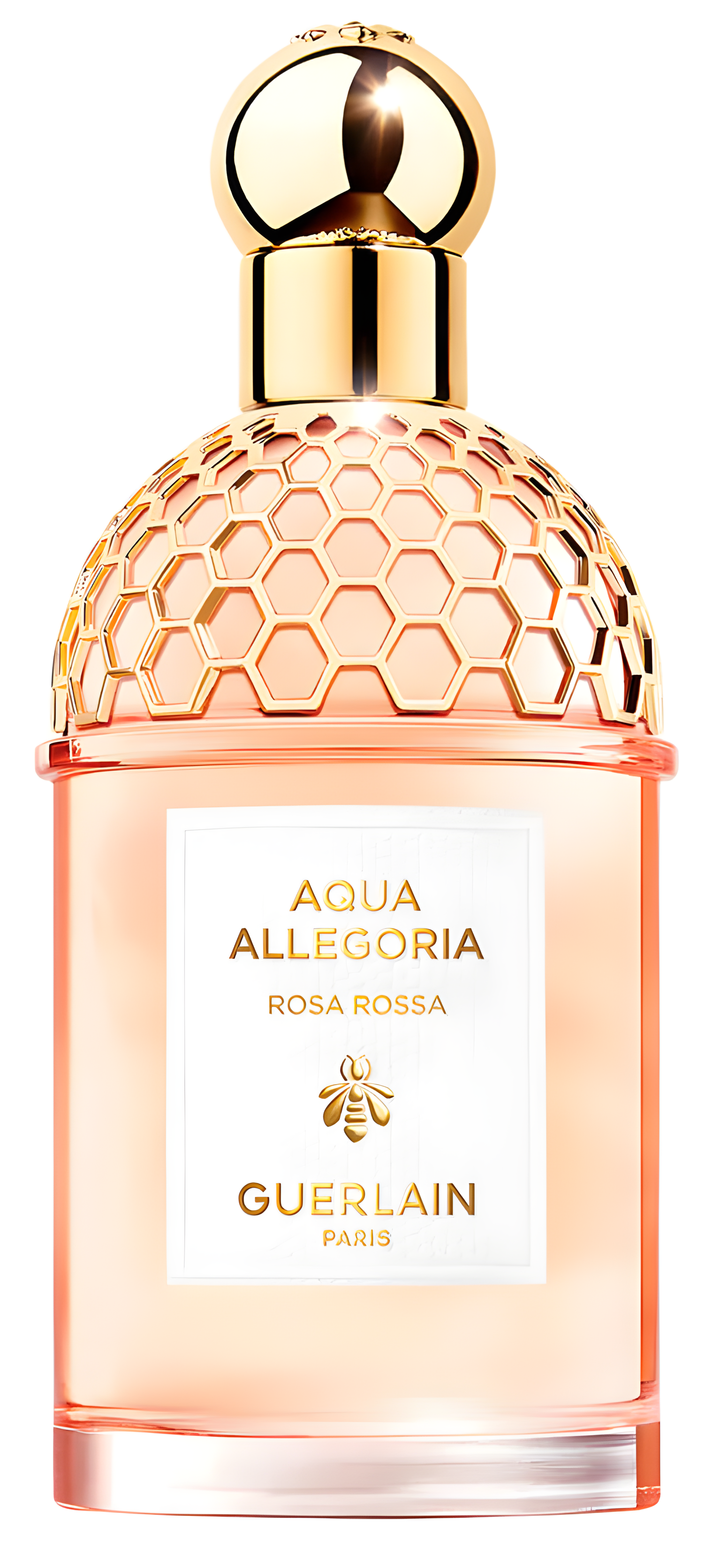 Aqua Allegoria Rosa Rossa by Guerlain perfume bottle