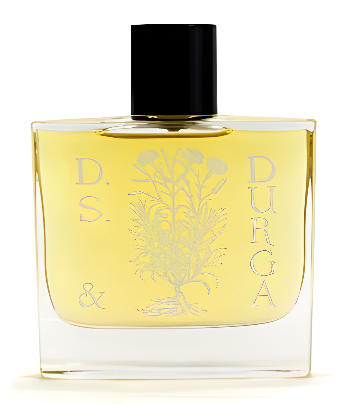 Orris Root by DS&Durga perfume bottle