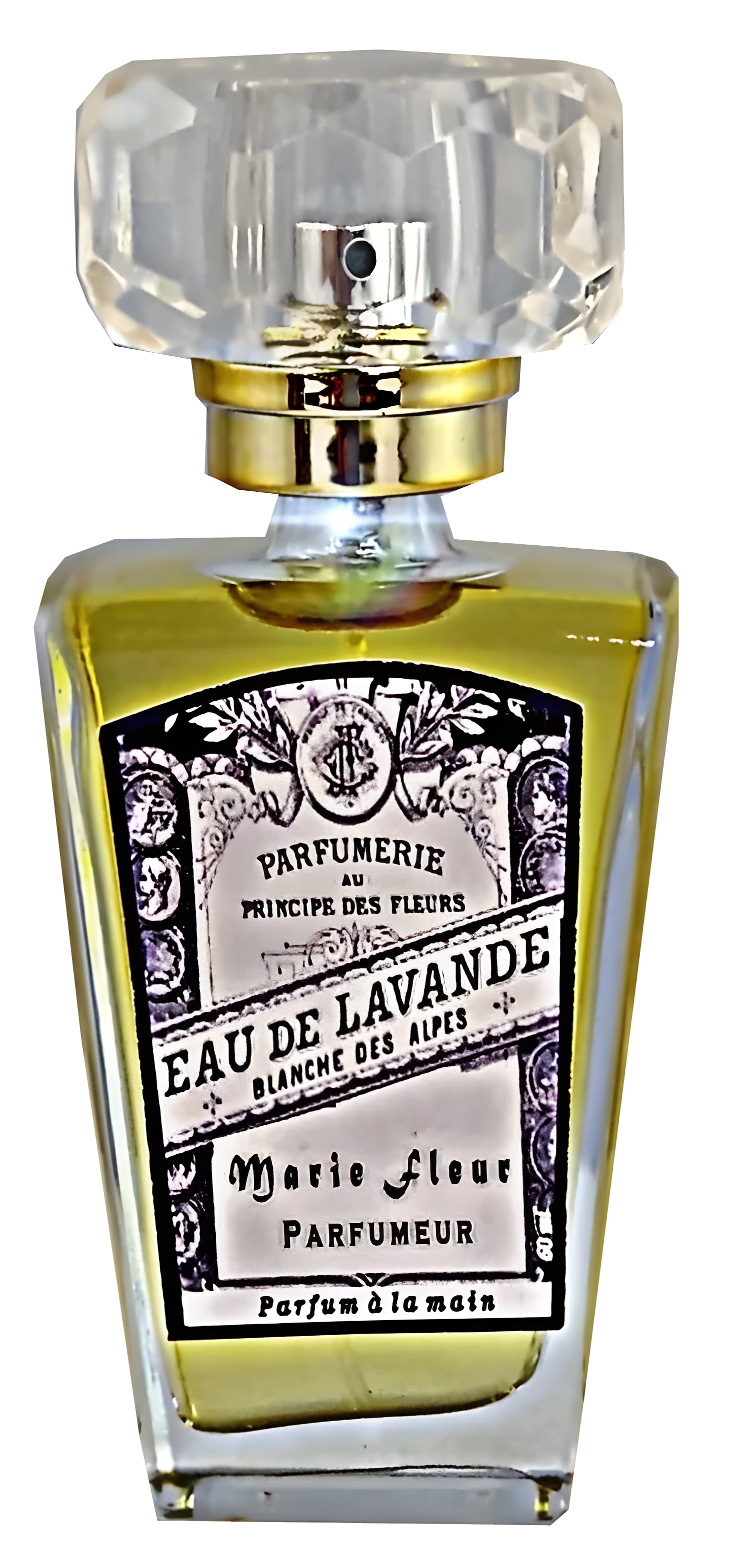 Eau de Lavander by Atelier Segall & Barutti perfume bottle