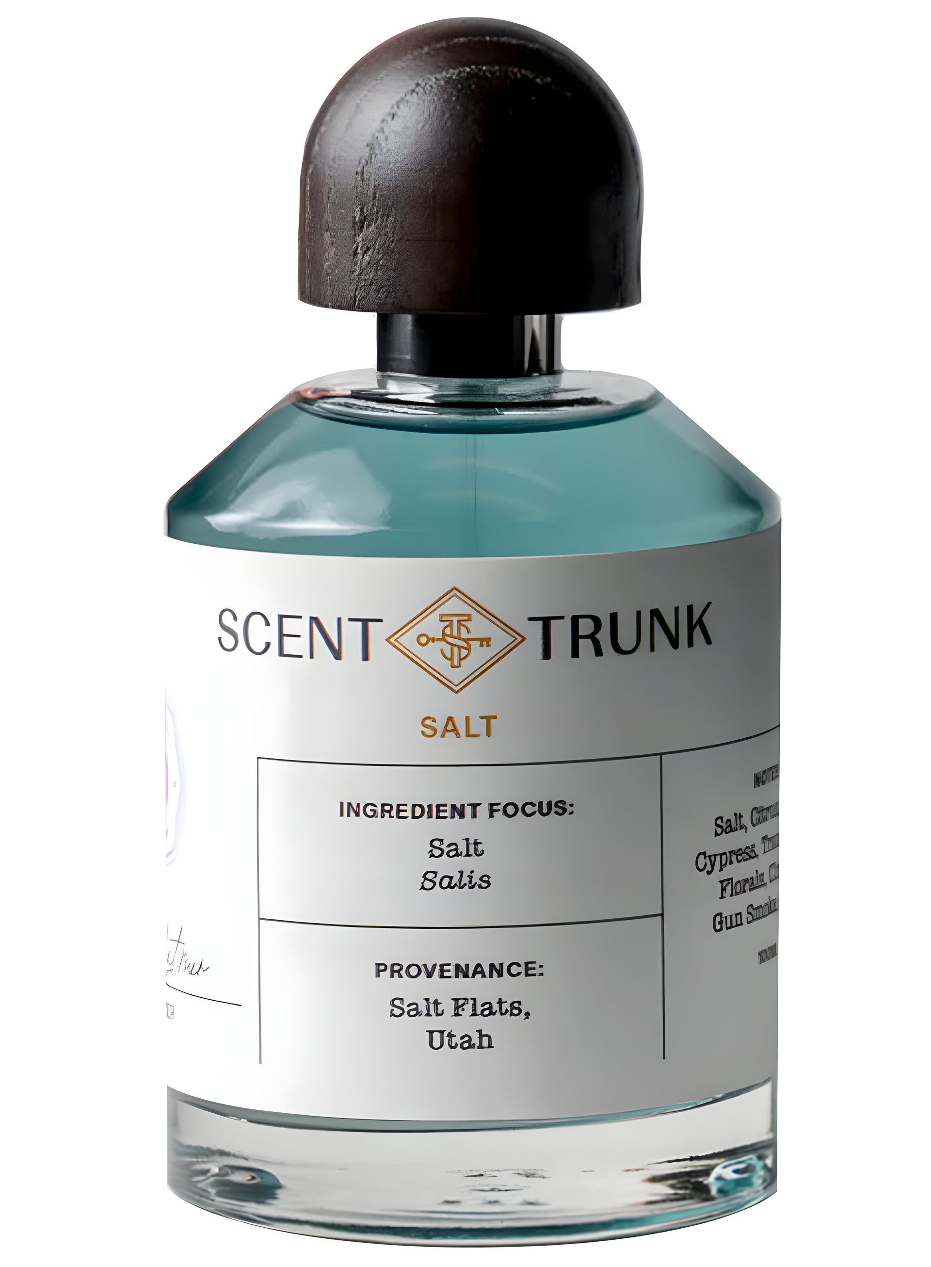 Salt by Scent Trunk perfume bottle