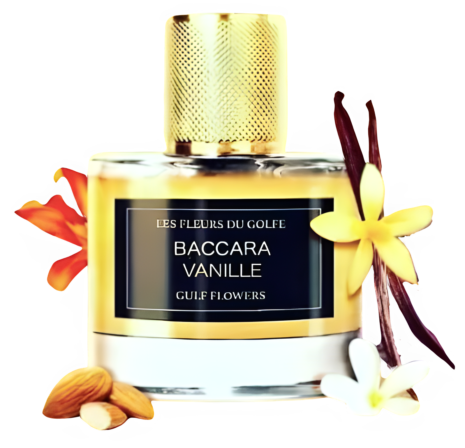 Baccara Vanille by Les Fleurs du Golfe perfume bottle