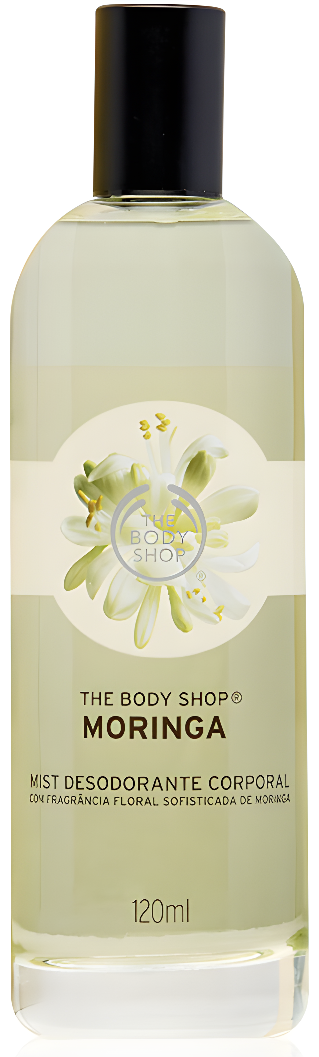 Moringa by The Body Shop perfume bottle