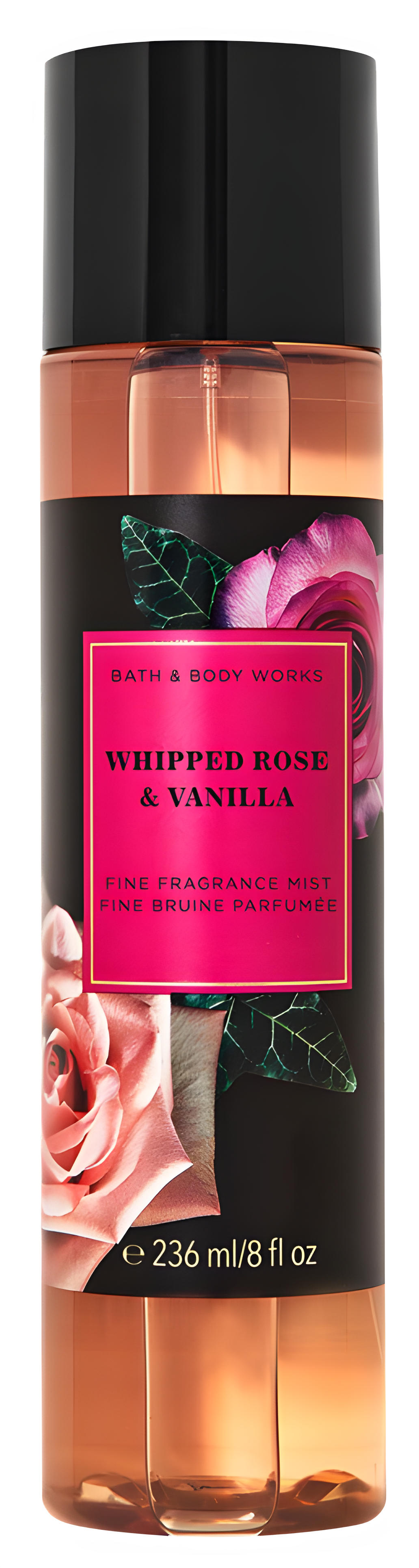 Whipped Rose & Vanilla by Bath & Body Works perfume bottle