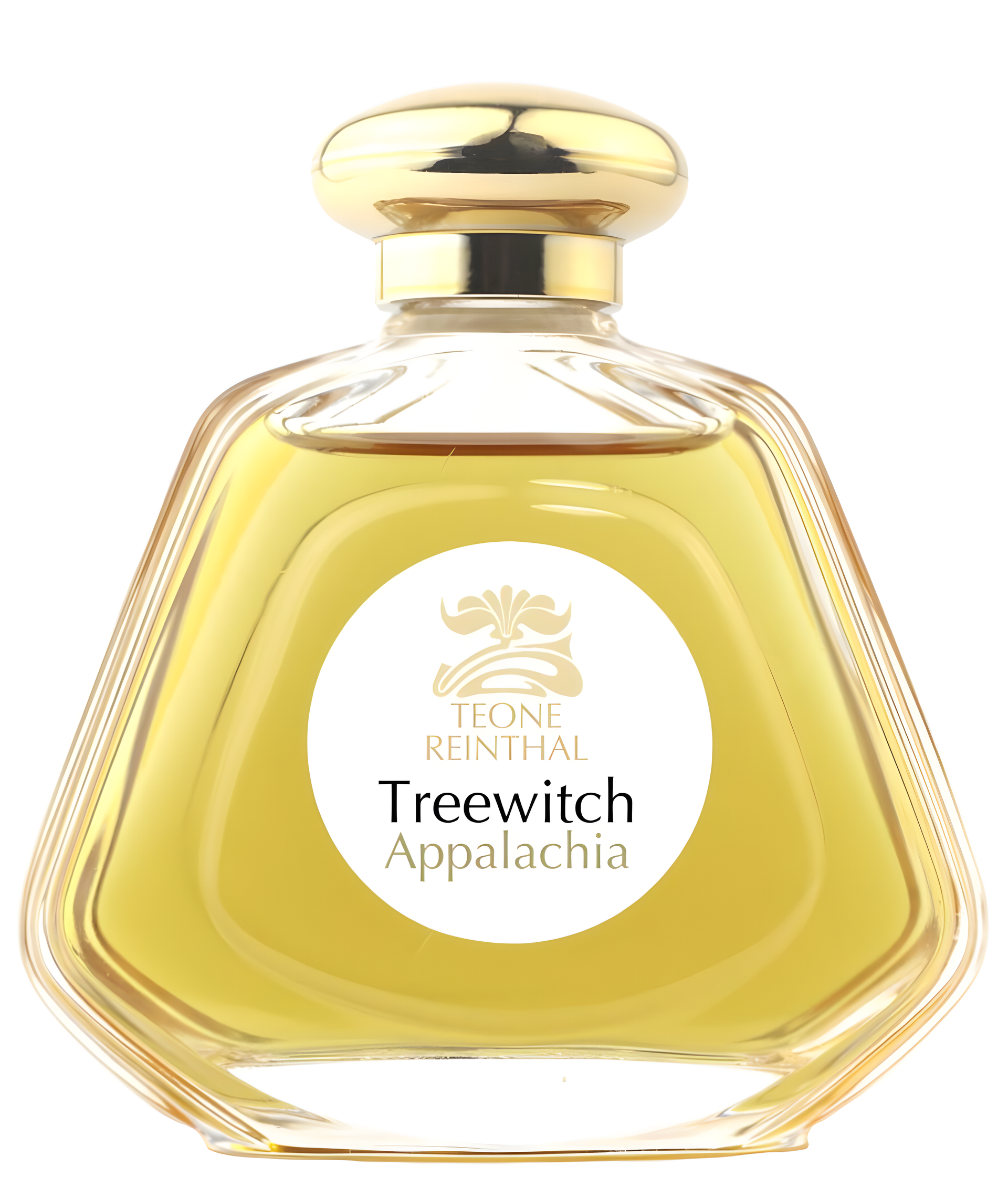 Treewitch Appalachia by TRNP perfume bottle