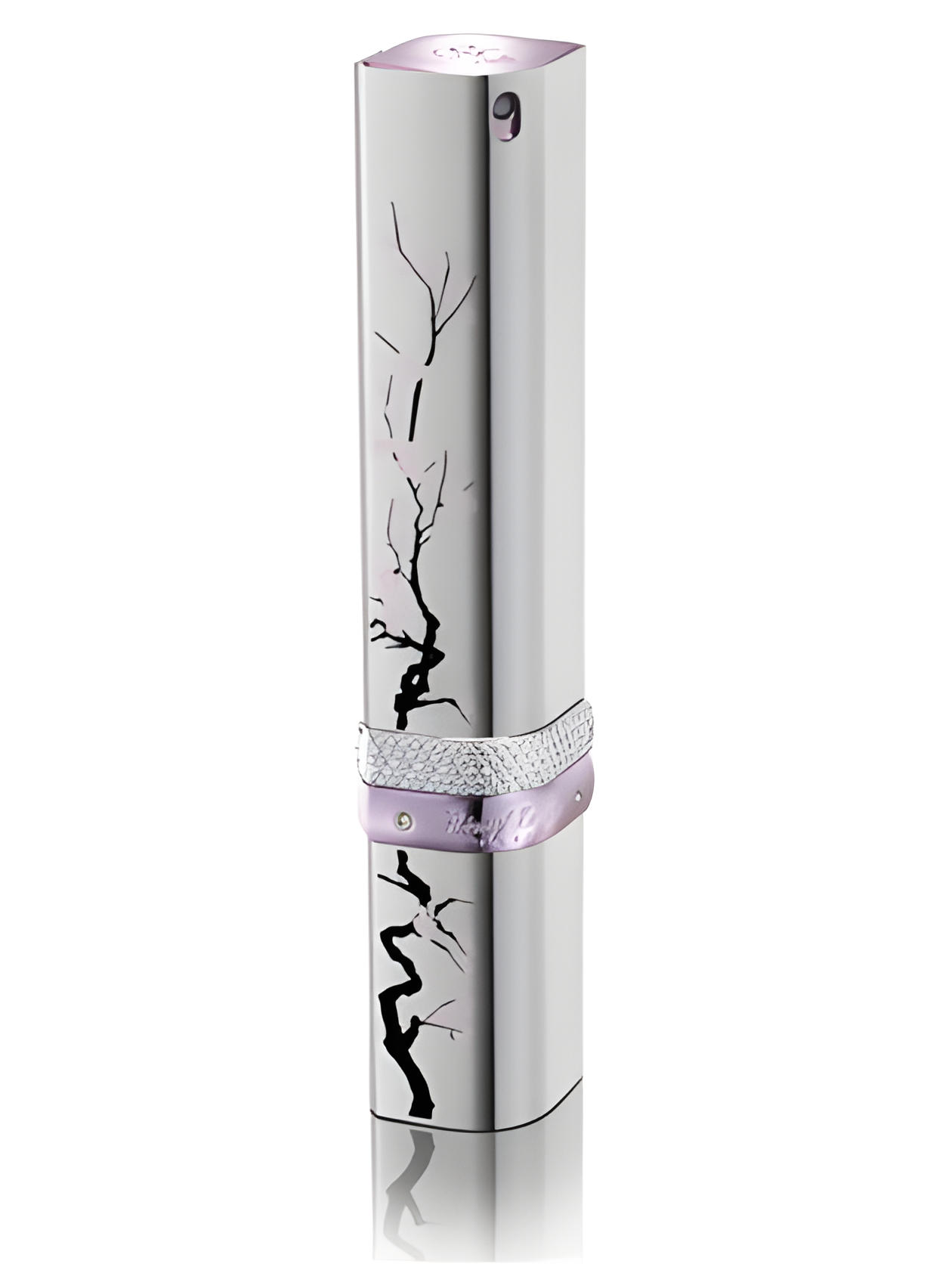Cigar Iris de Florence by Rémy Latour perfume bottle