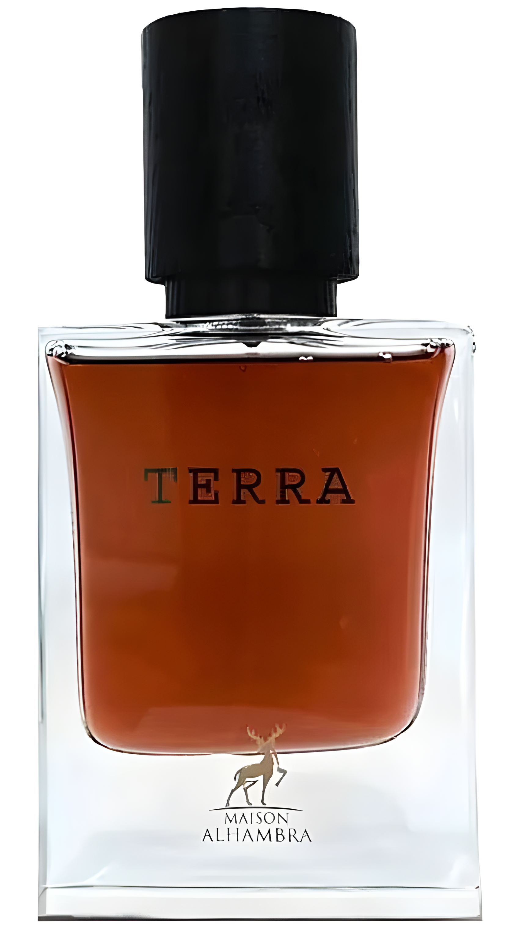 Terra by Maison Alhambra perfume bottle