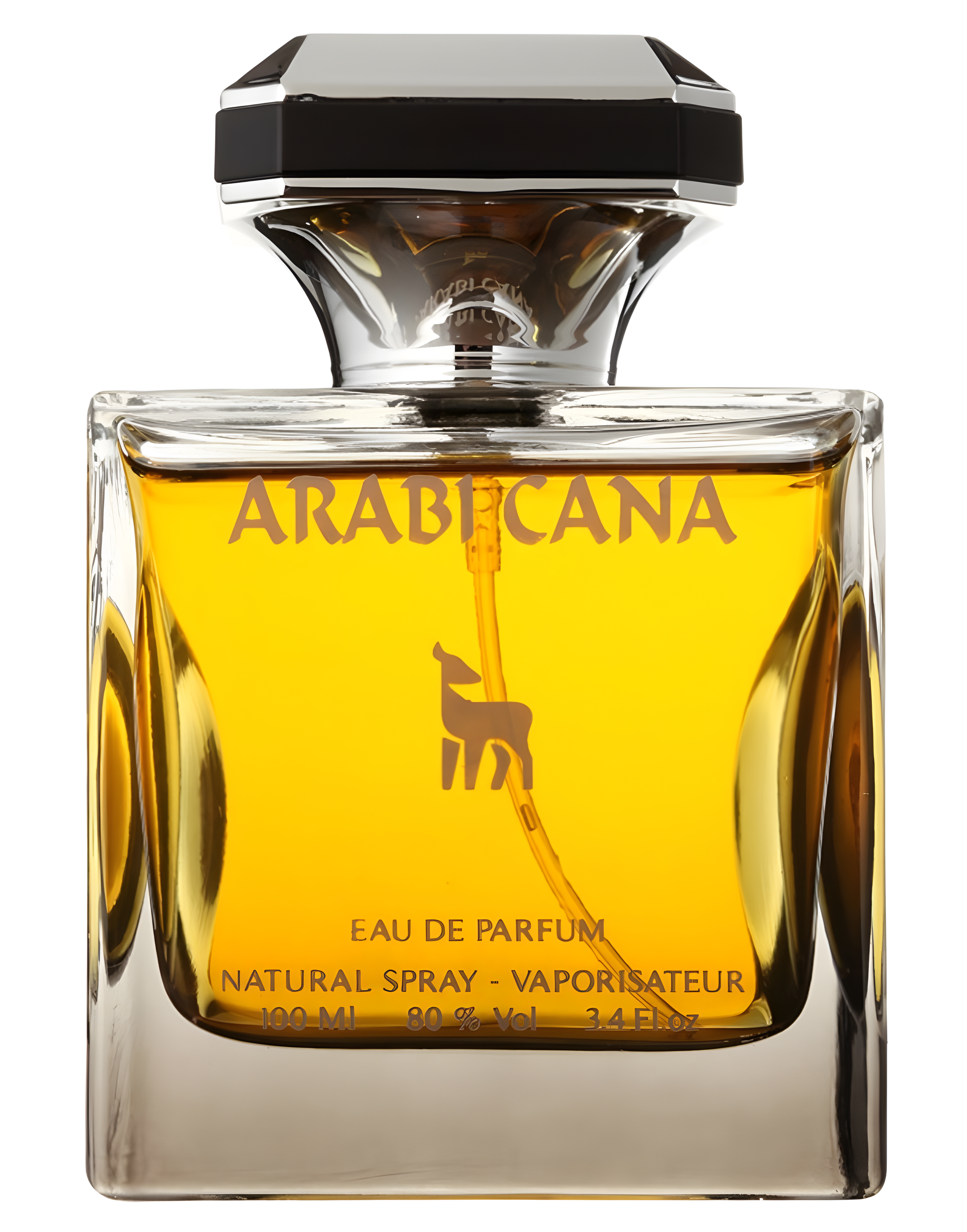 Arabi Cana by Kolmaz perfume bottle