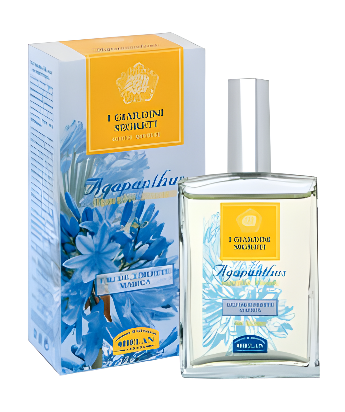 Agapanthus by Helan perfume bottle