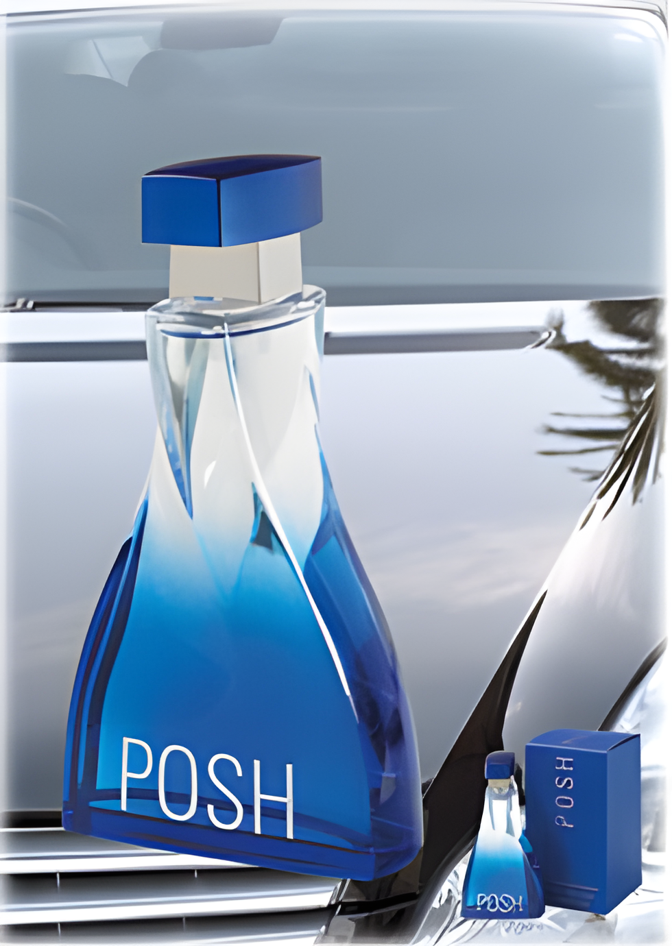 Posh Homme by Dina Cosmetics perfume bottle