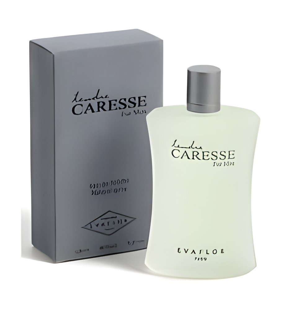 Tendre Caresse Pour Homme by Evaflor perfume bottle