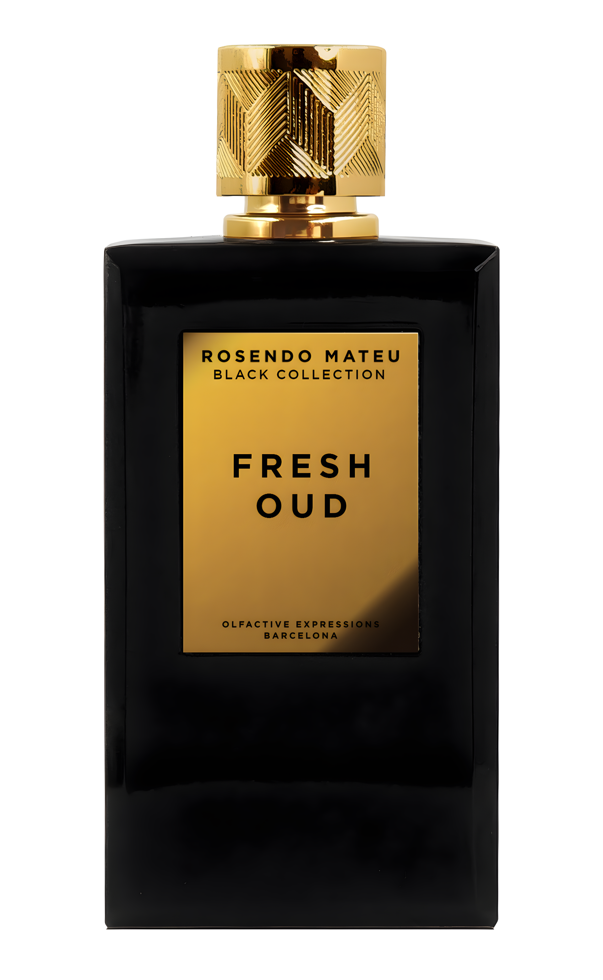 Fresh Oud by Rosendo Mateu Olfactive Expressions perfume bottle