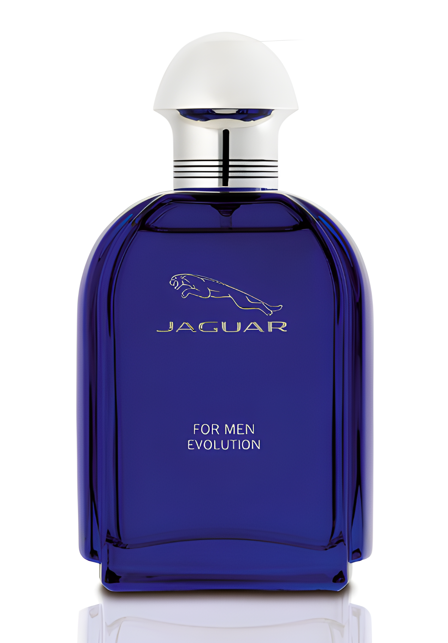 Jaguar for Men Evolution by Jaguar perfume bottle