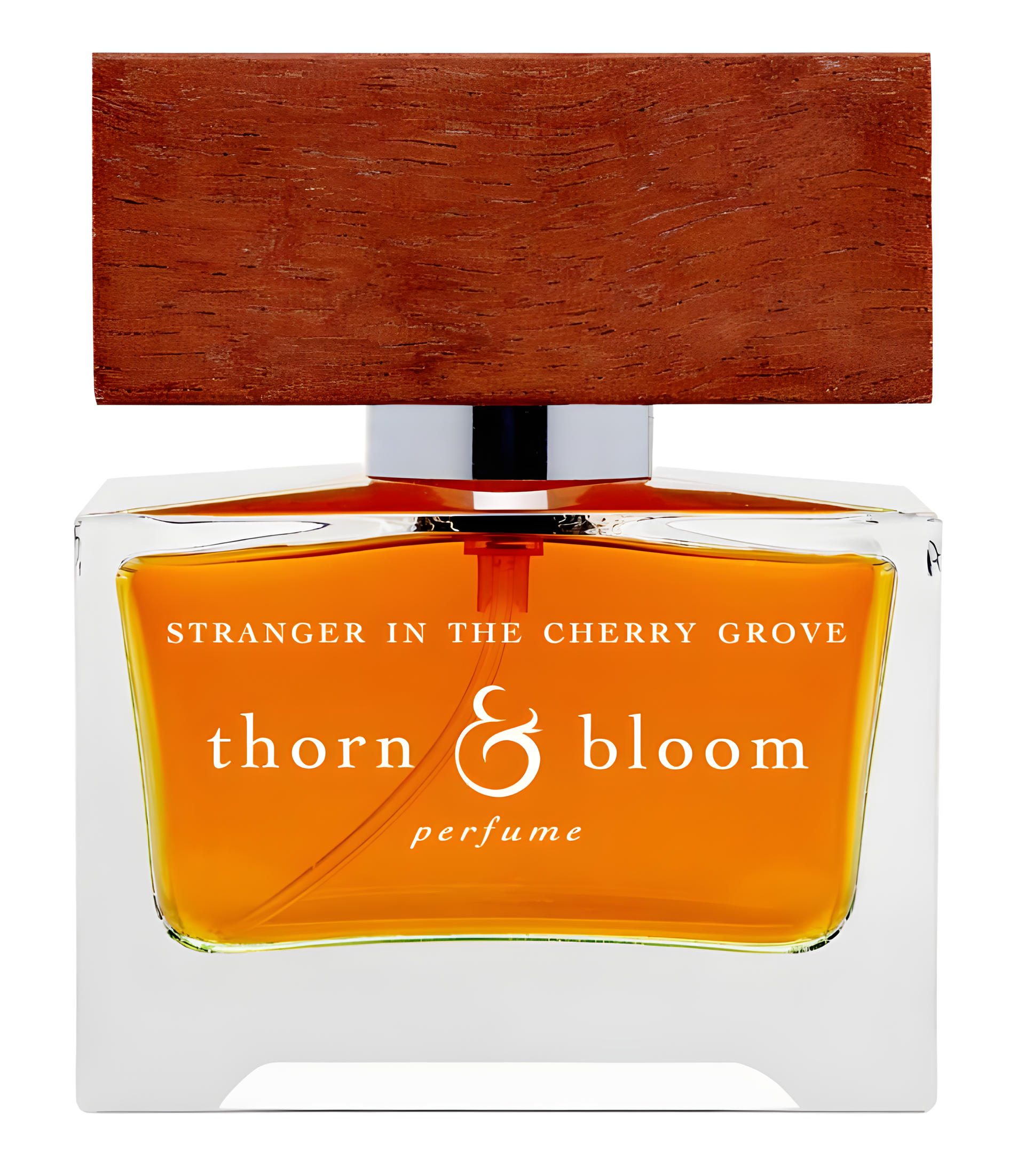 Stranger in the Cherry Grove by Thorn & Bloom perfume bottle