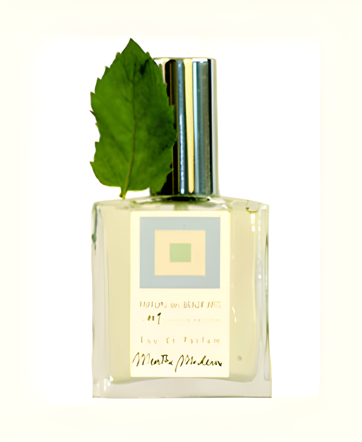 Menthe Moderne by DSH Perfumes perfume bottle