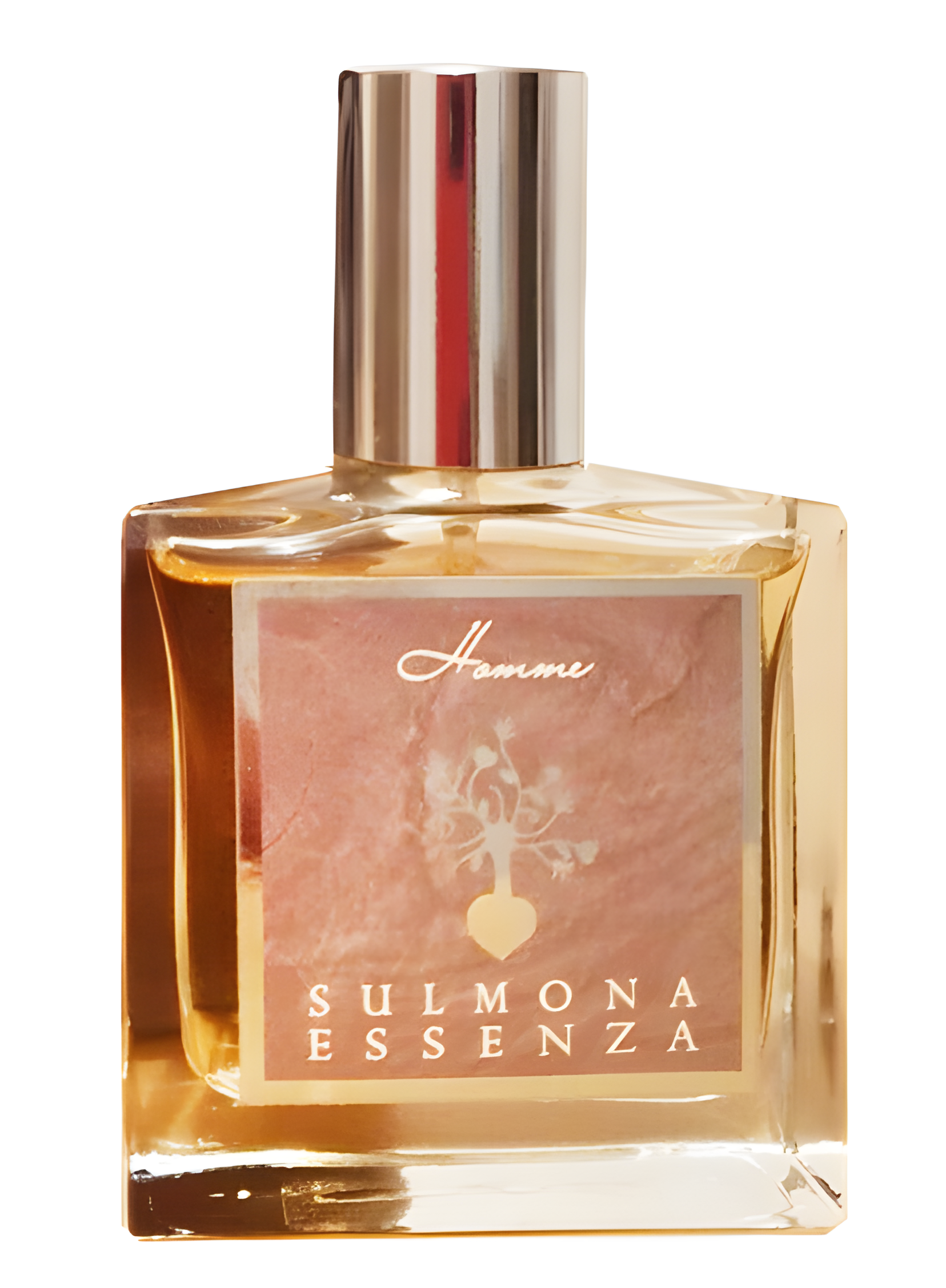 Sulmona Essenza Homme by Sulmona Essenza perfume bottle