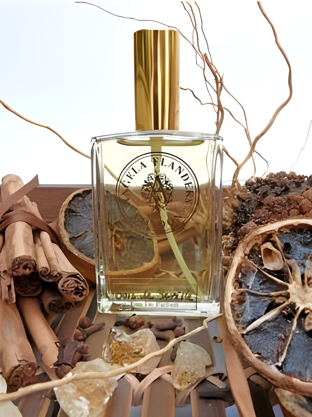 Bois de Seville by Angela Flanders perfume bottle