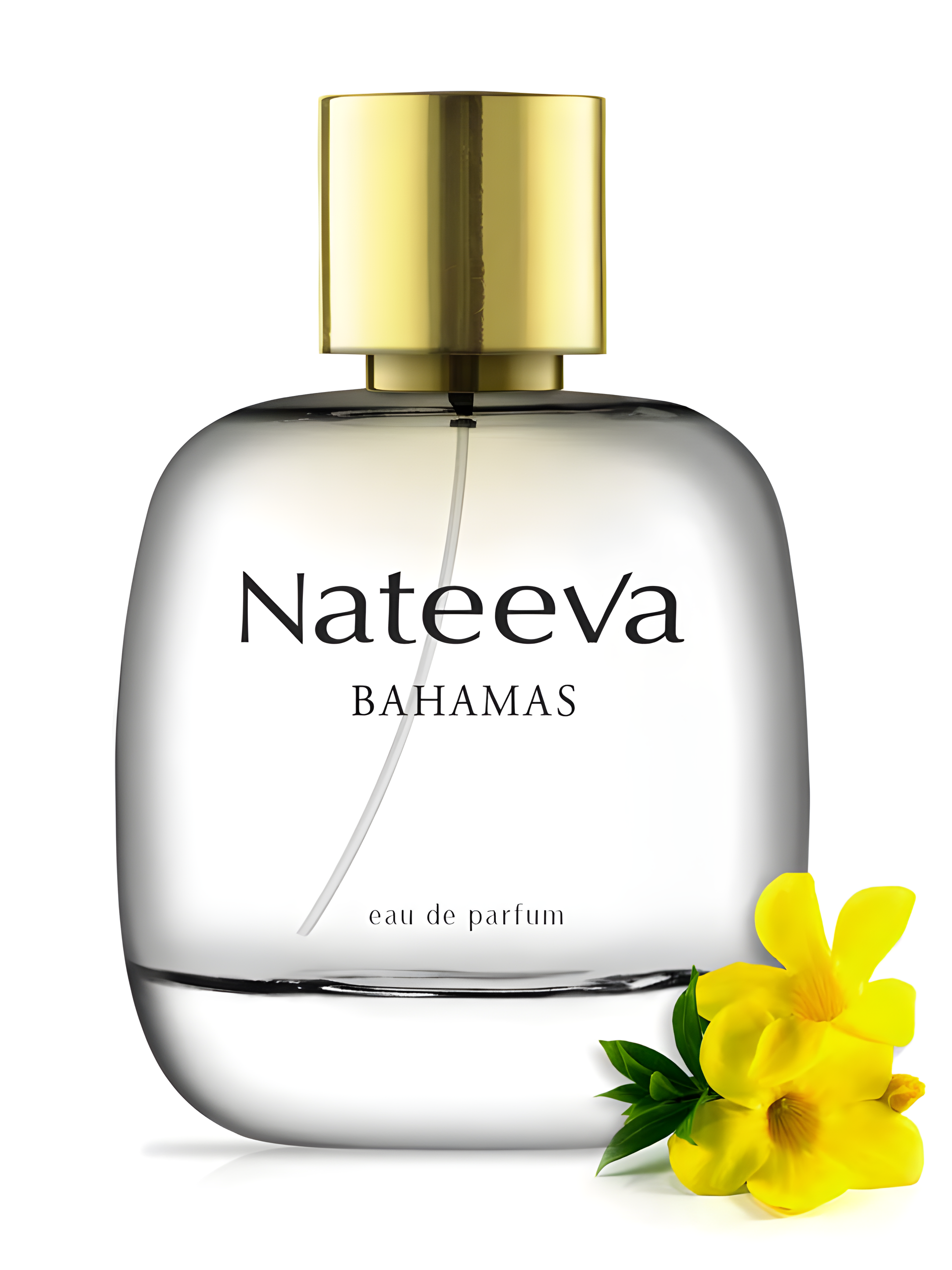 Bahamas by Nateeva perfume bottle