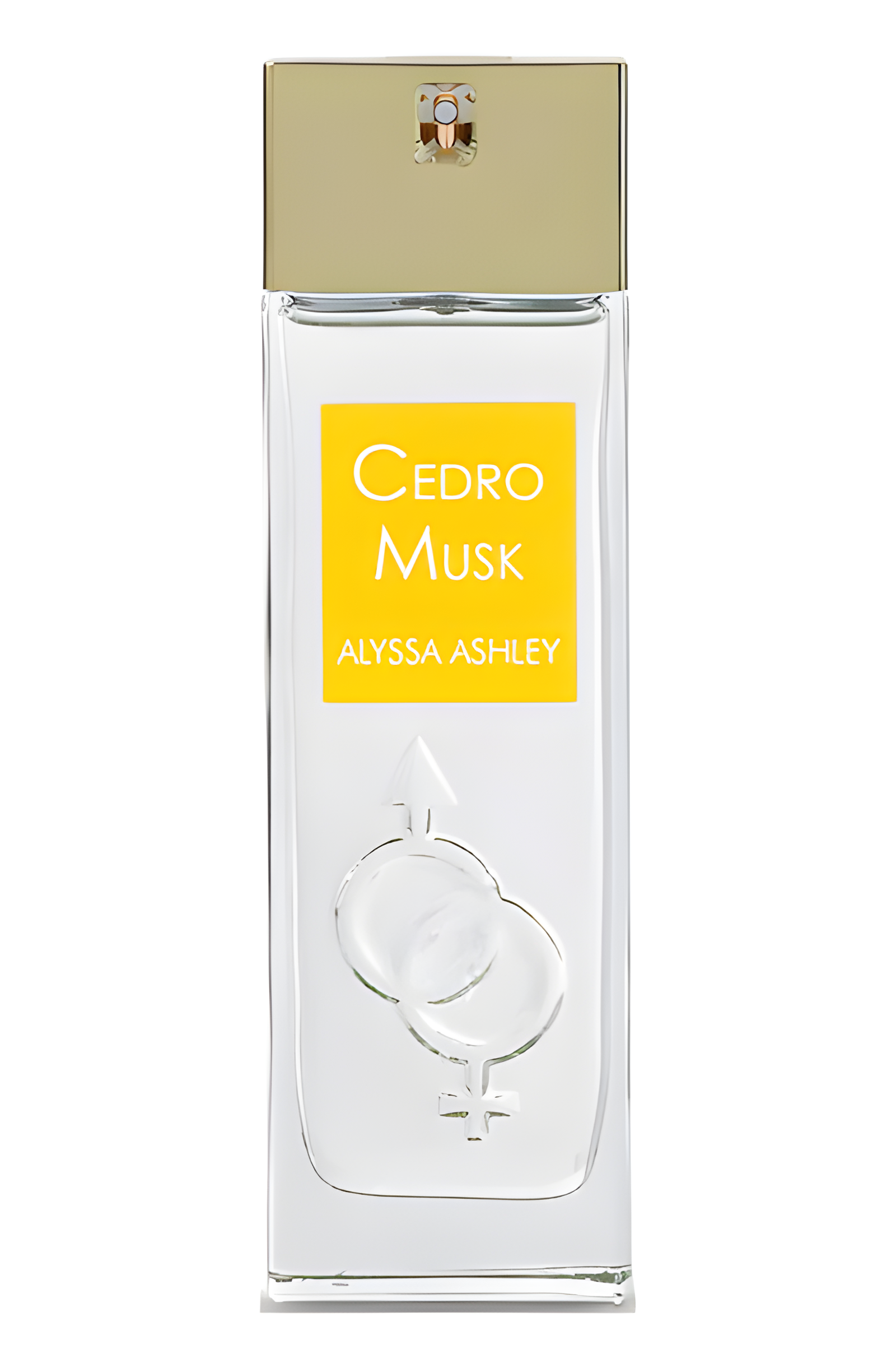 Cedro Musk Eau de Parfum by Alyssa Ashley perfume bottle