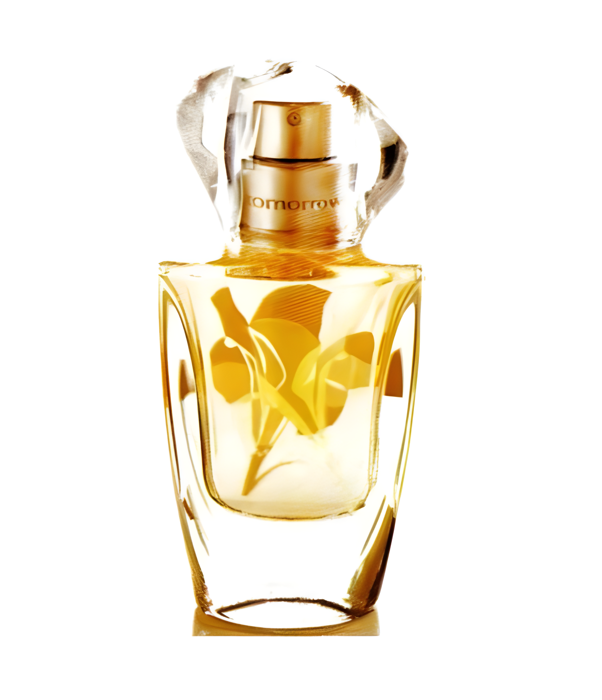 In Bloom by Avon perfume bottle