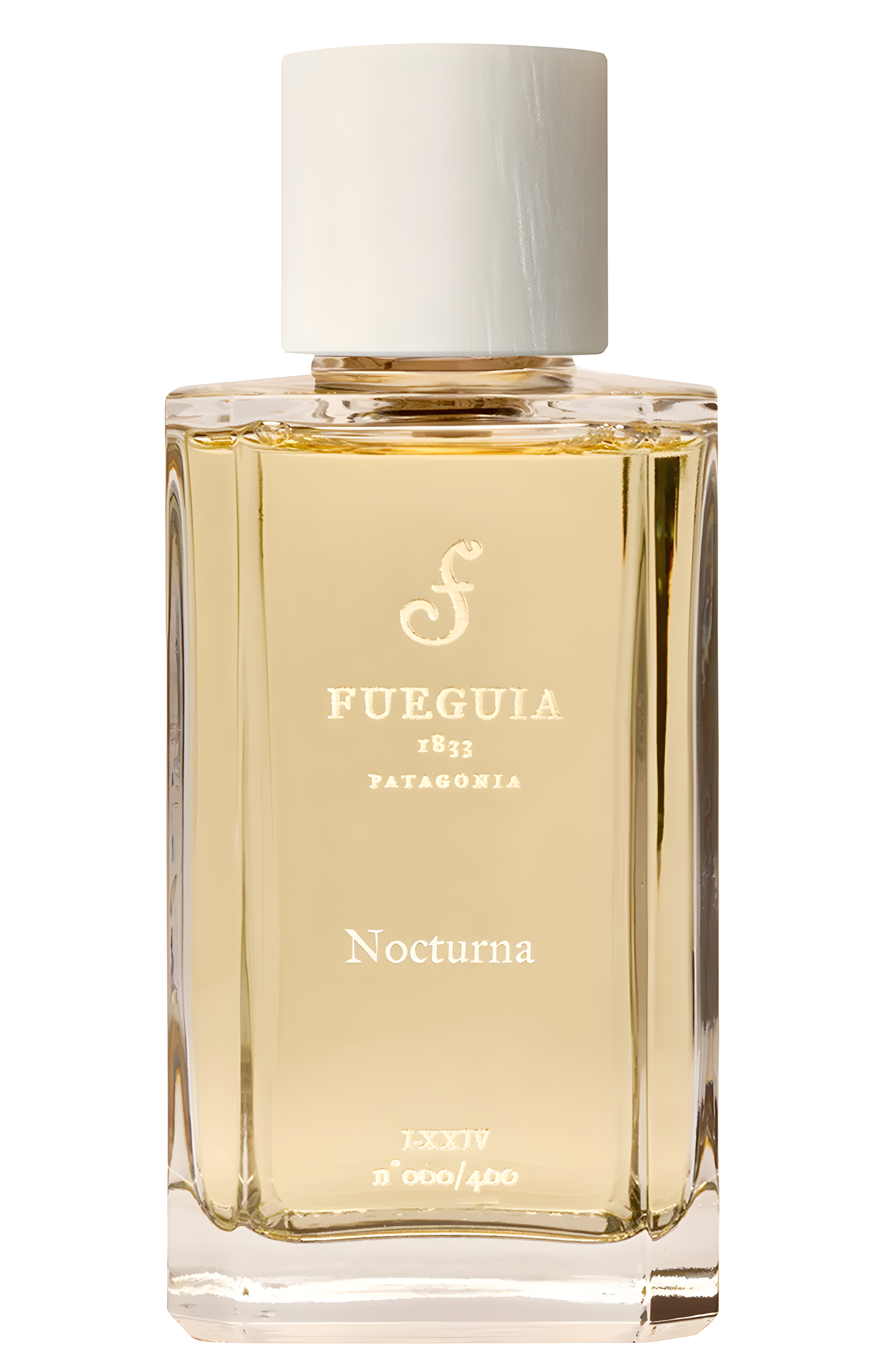 Nocturna by Fueguia 1833 perfume bottle