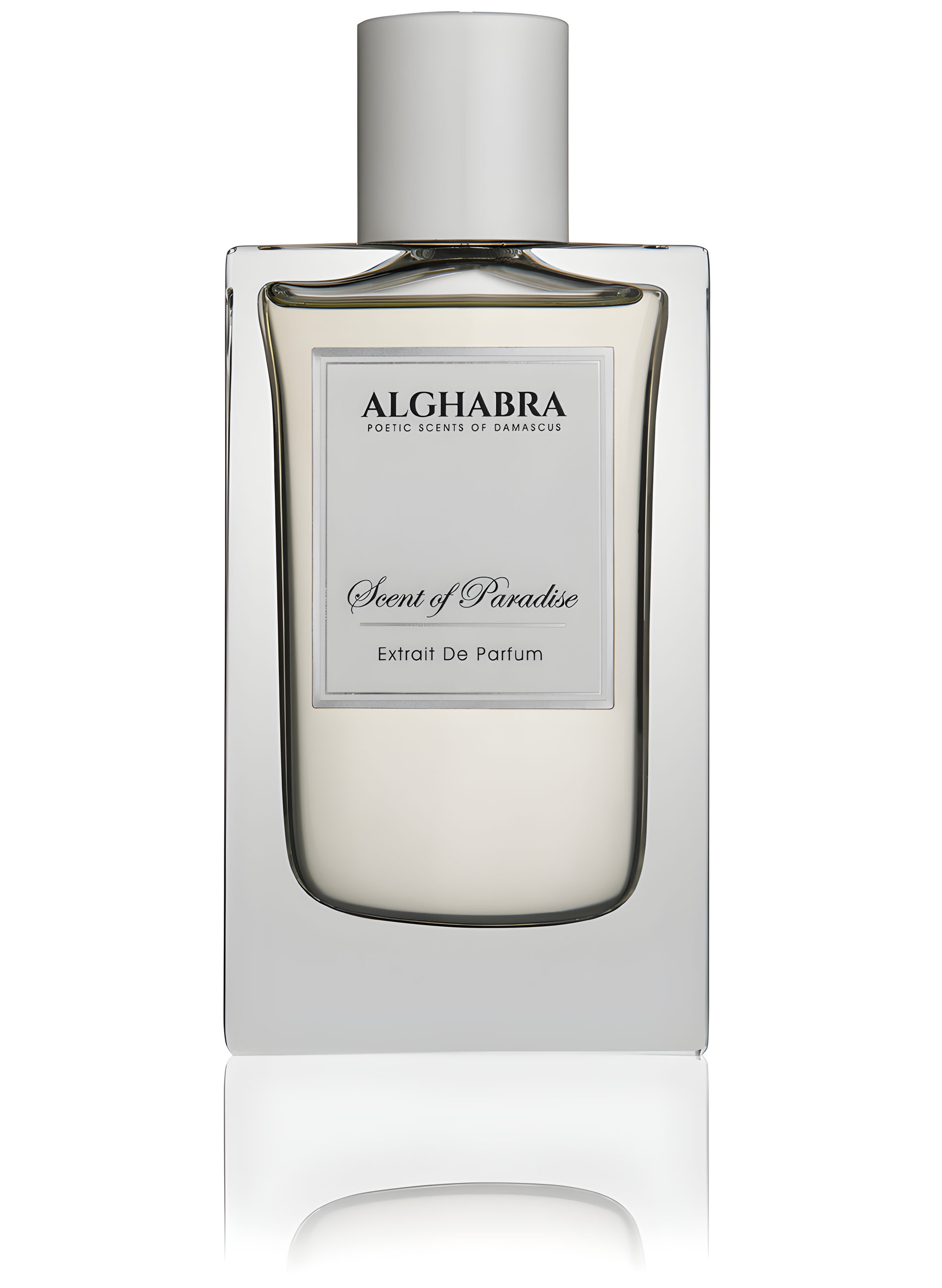 Scent of Paradise by Alghabra Parfums perfume bottle