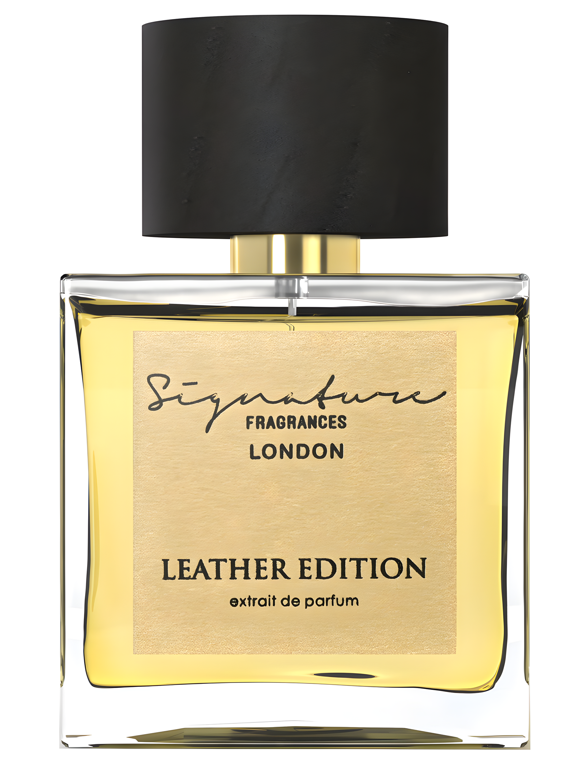 Leather Edition by Signature Fragrances perfume bottle