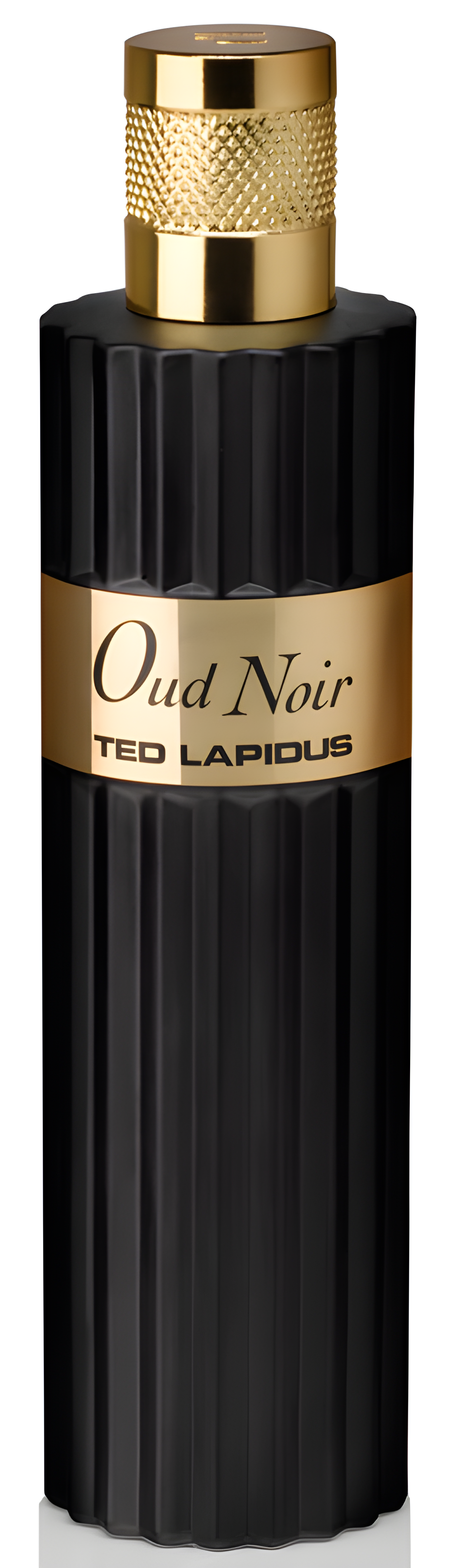 Oud Noir by Ted Lapidus perfume bottle