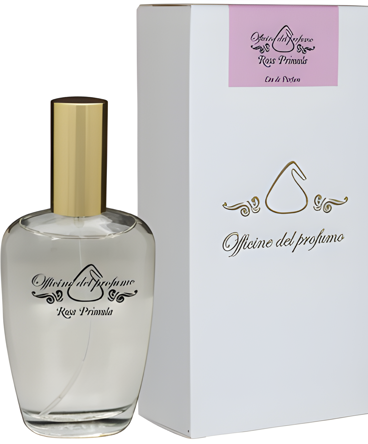 Rosa Primula by Officine del Profumo perfume bottle