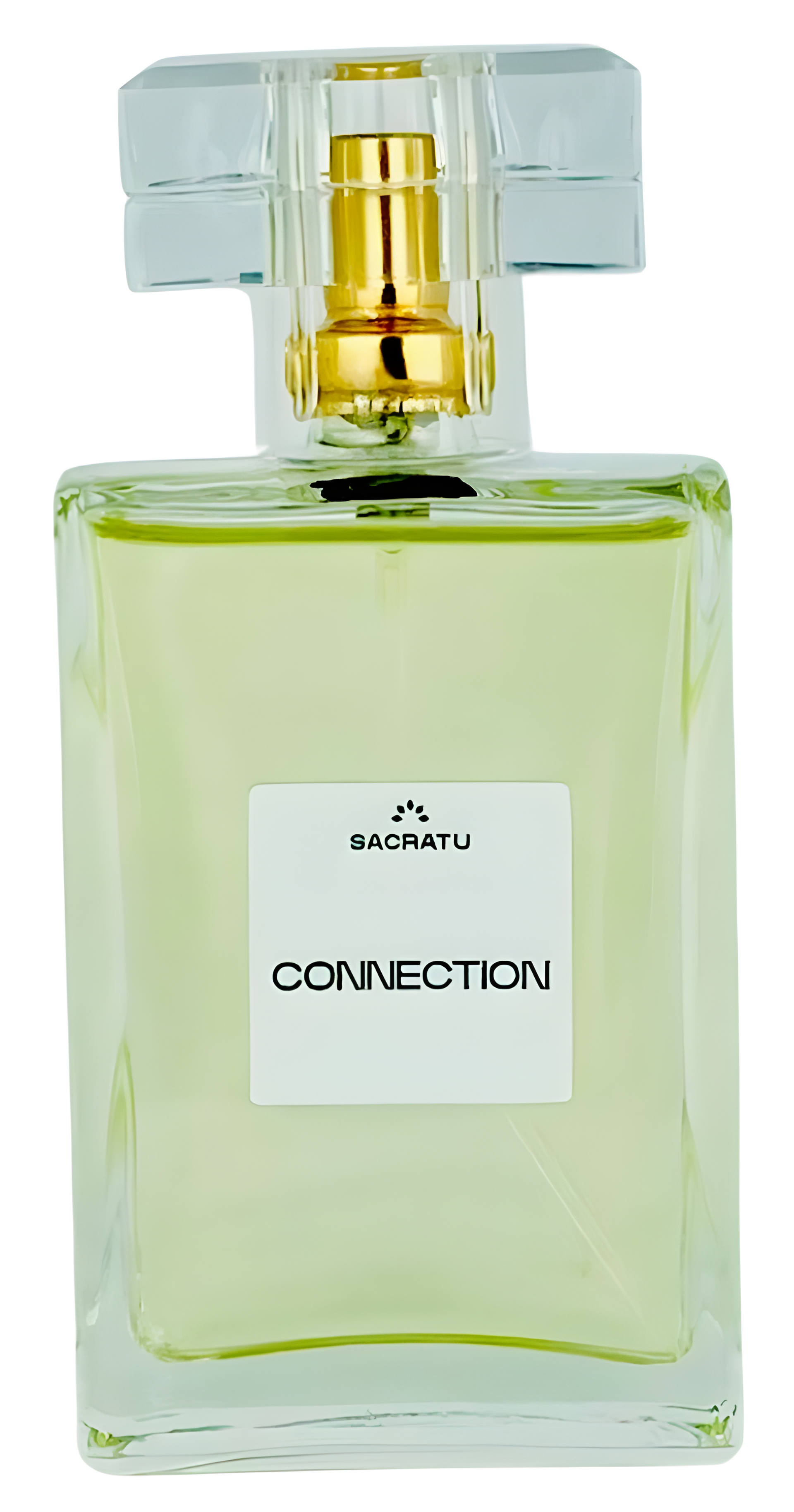 Connection by Sacratu perfume bottle