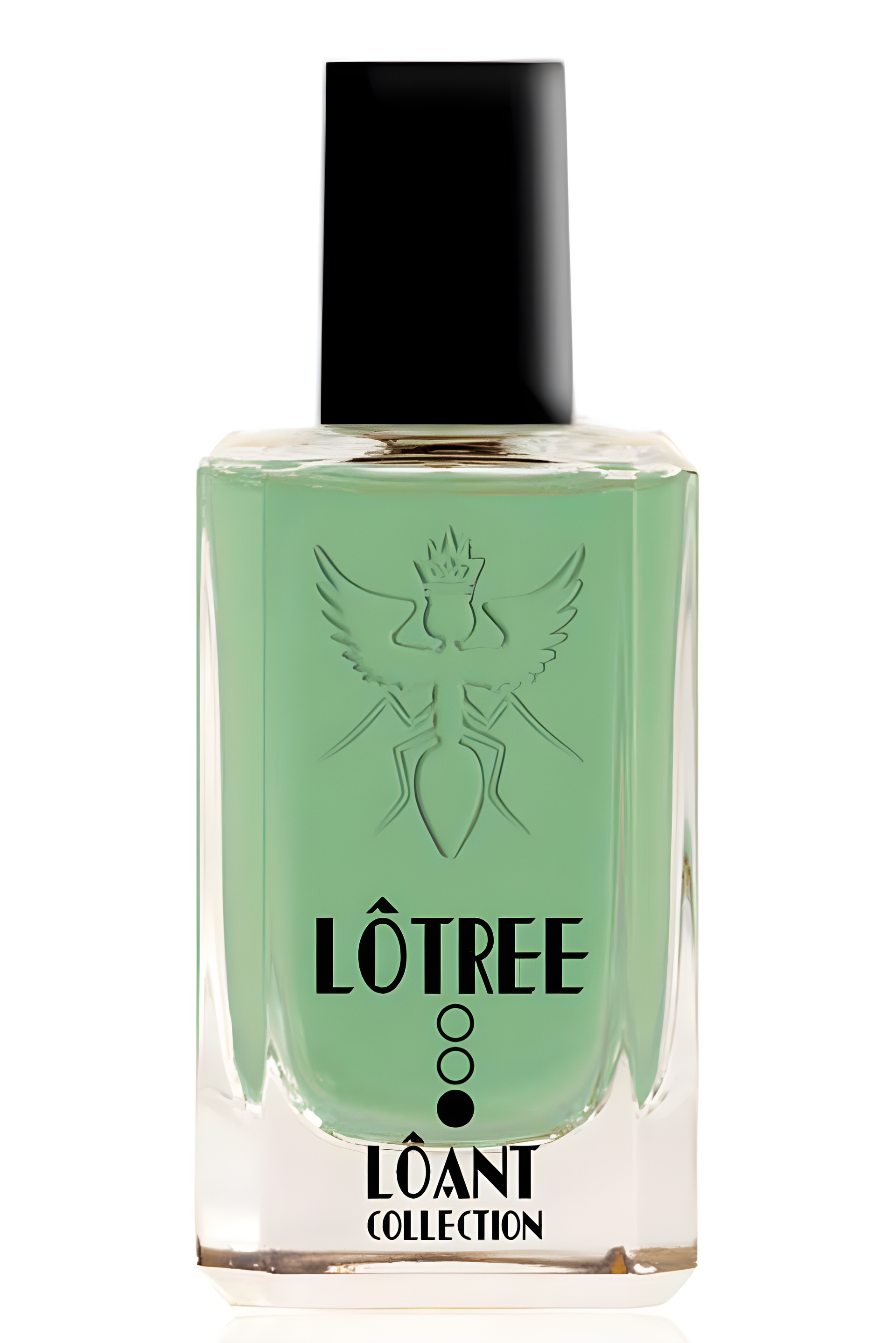 LOTREE by Santi Burgas perfume bottle