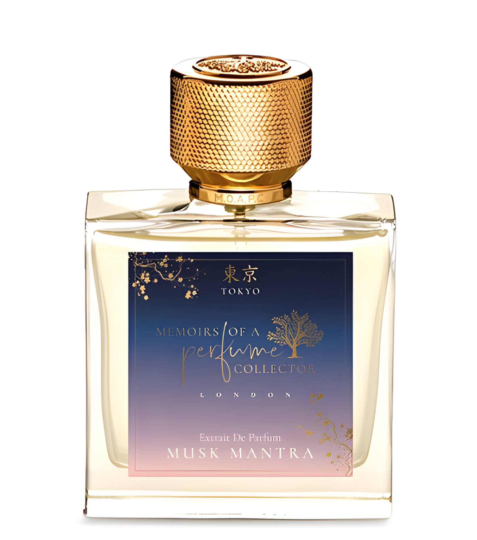 Musk Mantra by Memoirs Of A Perfume Collector perfume bottle