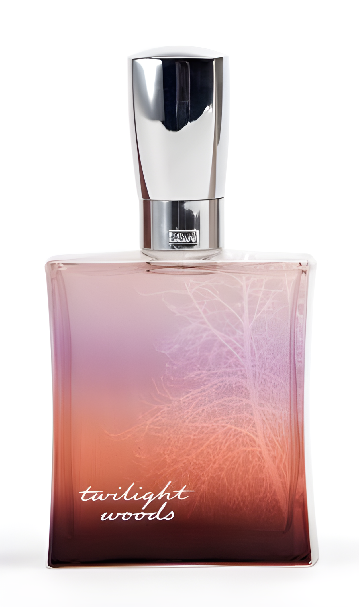 Twilight Woods by Bath & Body Works perfume bottle