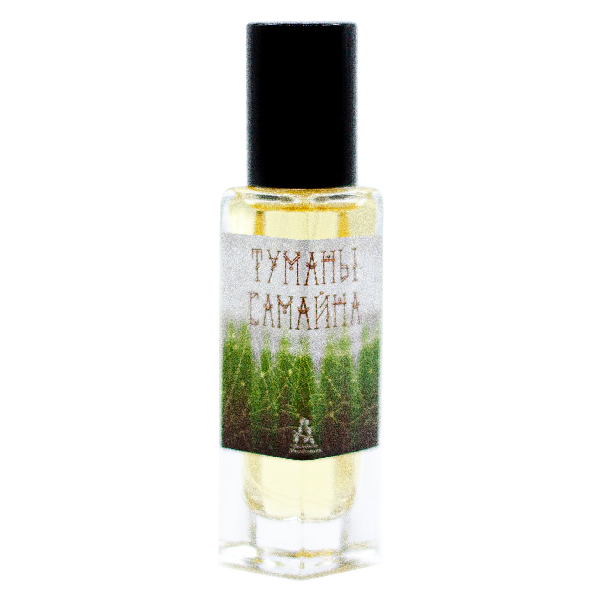Туманы Самайна (Misty Samhain) (2021) by Acidica Perfumes perfume bottle