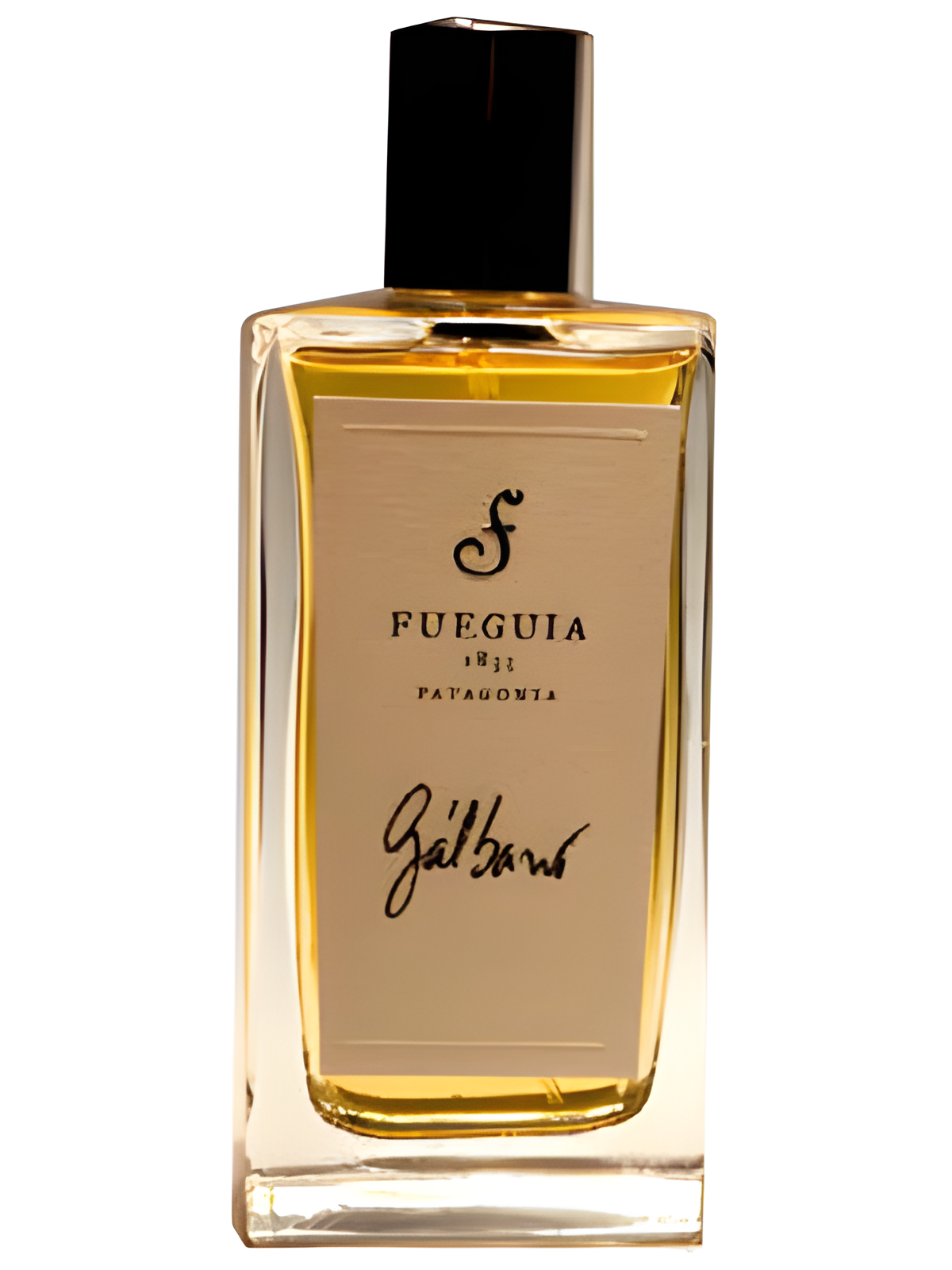 Gálbano by Fueguia 1833 perfume bottle