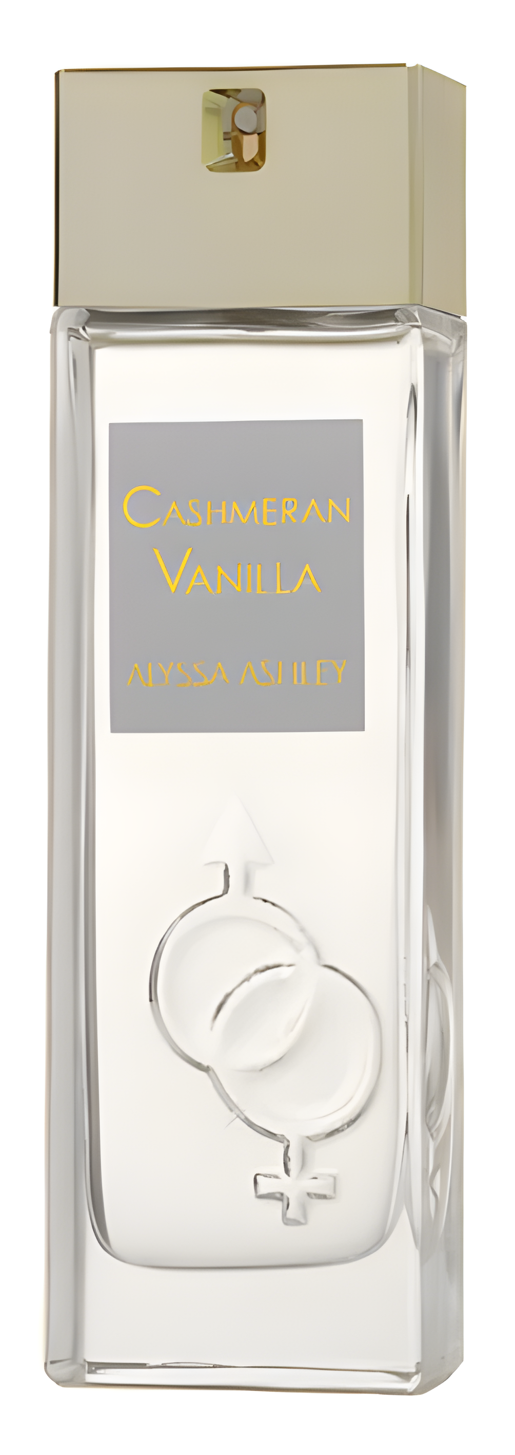 Cashmeran Vanilla by Alyssa Ashley perfume bottle